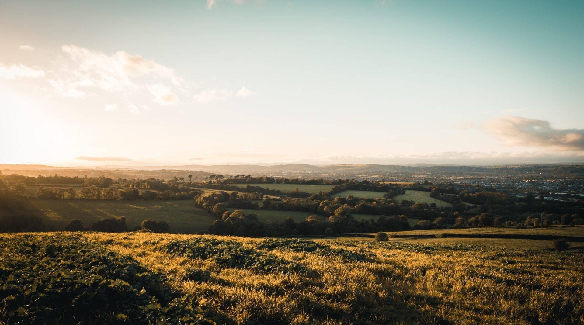 Vue panoramique sur une vallée verdoyante avec champs dorés, bosquets d’arbres et collines lointaines sous ciel dégagé