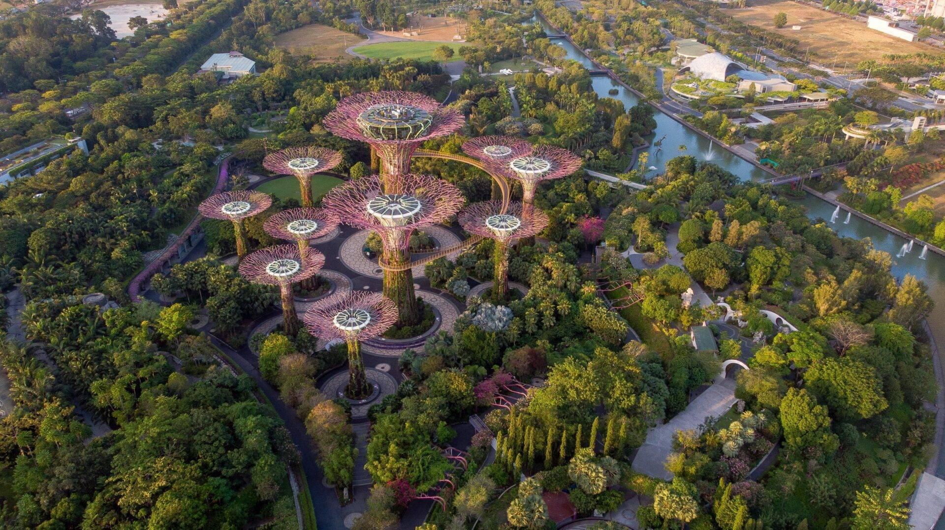 Vue aérienne d’un jardin futuriste avec structures géantes en forme de fleurs roses entourées de verdure et traversé par des cours d’eau