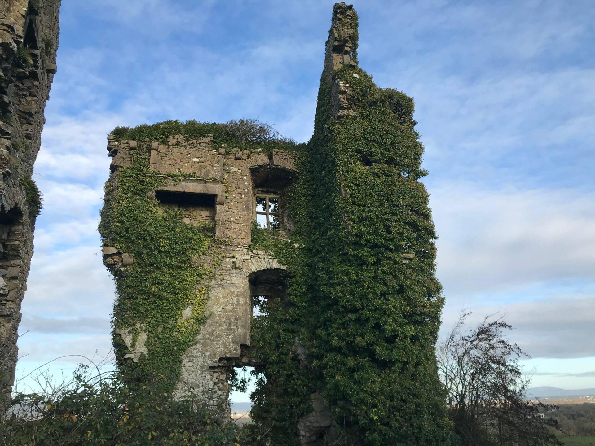 Ruines d’une tour en pierre couverte de lierre verdoyant avec fenêtres vides sous un ciel nuageux