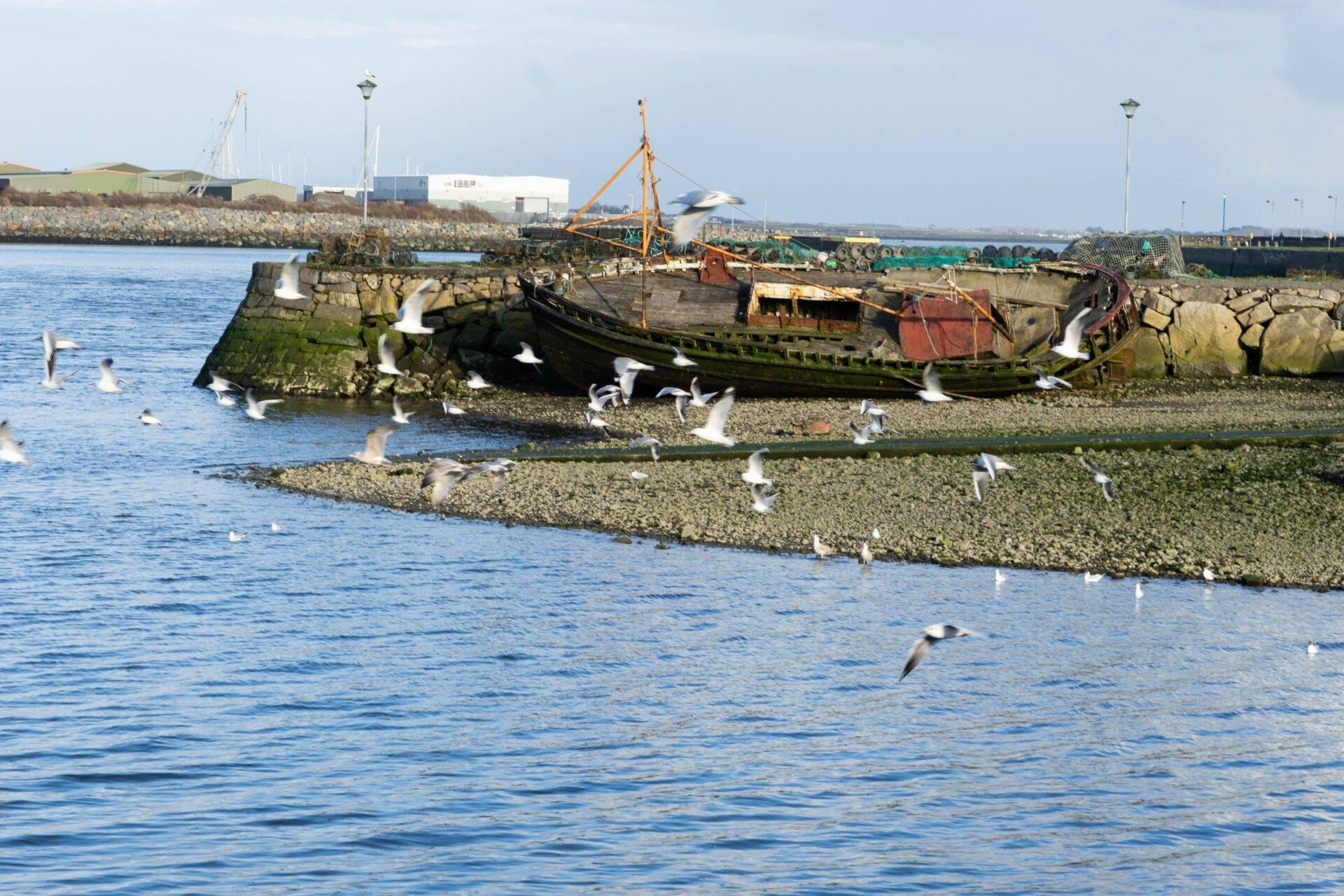 Un bateau de pêche délabré repose sur des rochers côtiers avec des mouettes volant autour, dans un petit port irlandais