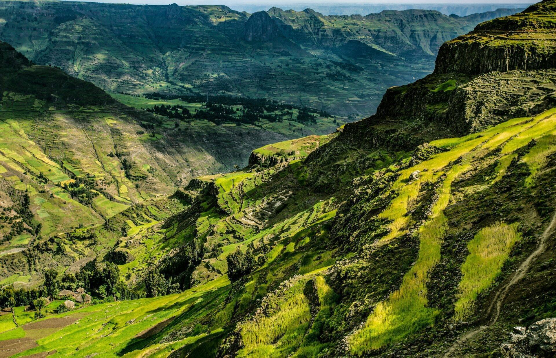Vallée montagneuse verdoyante avec terrasses agricoles, falaises escarpées et villages dispersés dans les hauteurs éthiopiennes