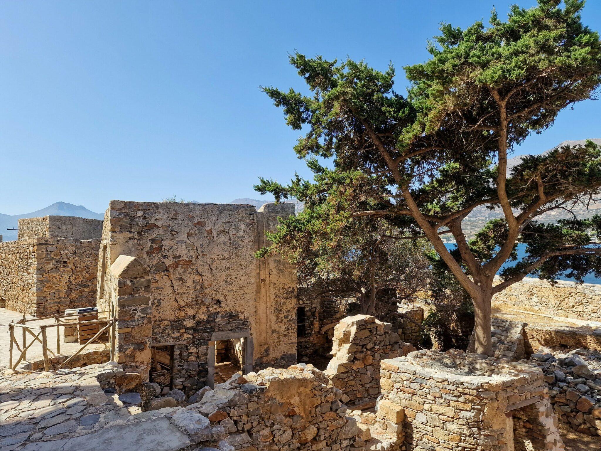 Stone ruins with a large Mediterranean tree, blue sea in the background, coastal archaeological site