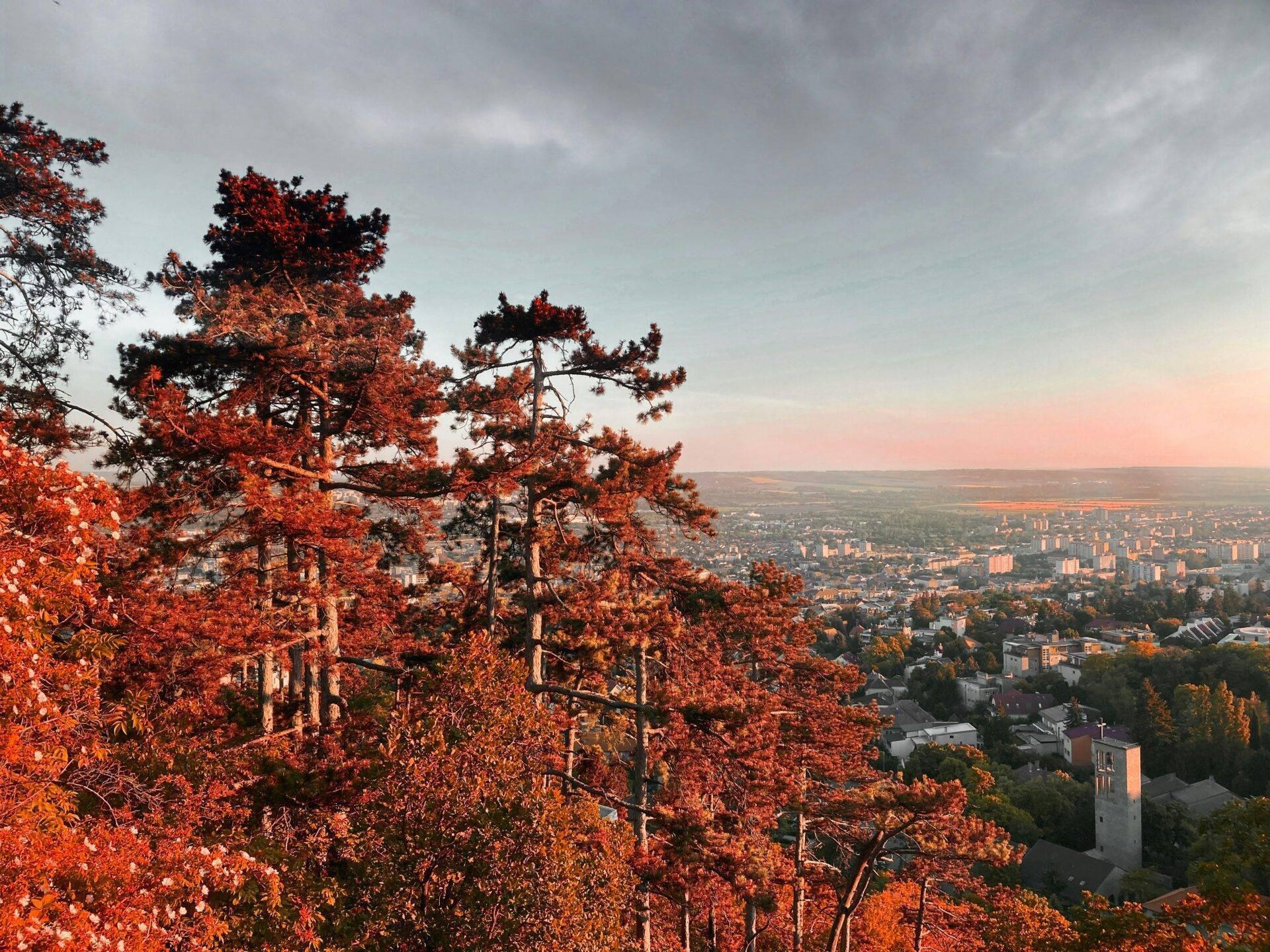 Vue panoramique d’une ville depuis une colline boisée aux feuillages rouges d’automne au coucher du soleil