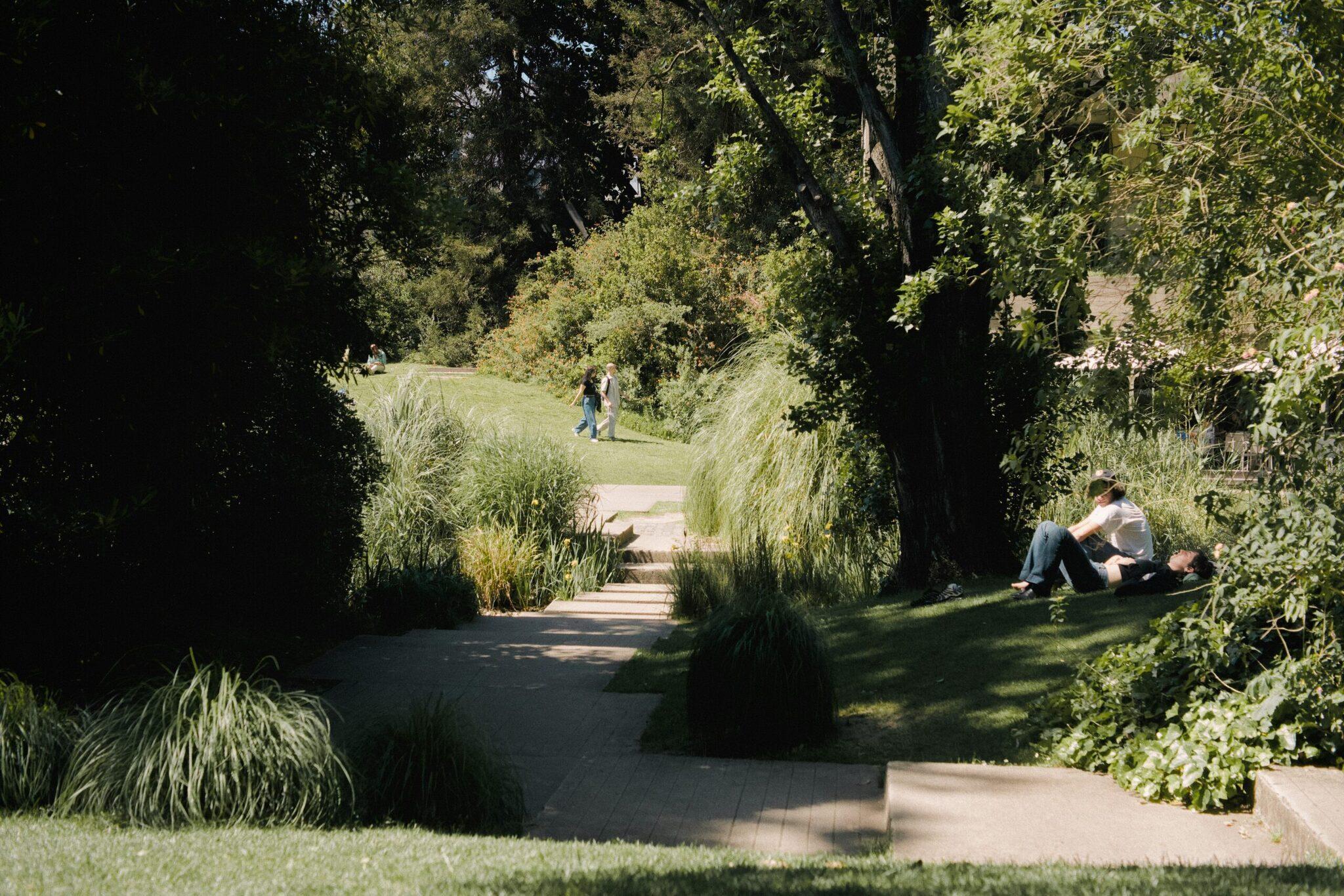 Allée ombragée d’un jardin public avec visiteurs se relaxant sur l’herbe et un sentier pavé sinueux