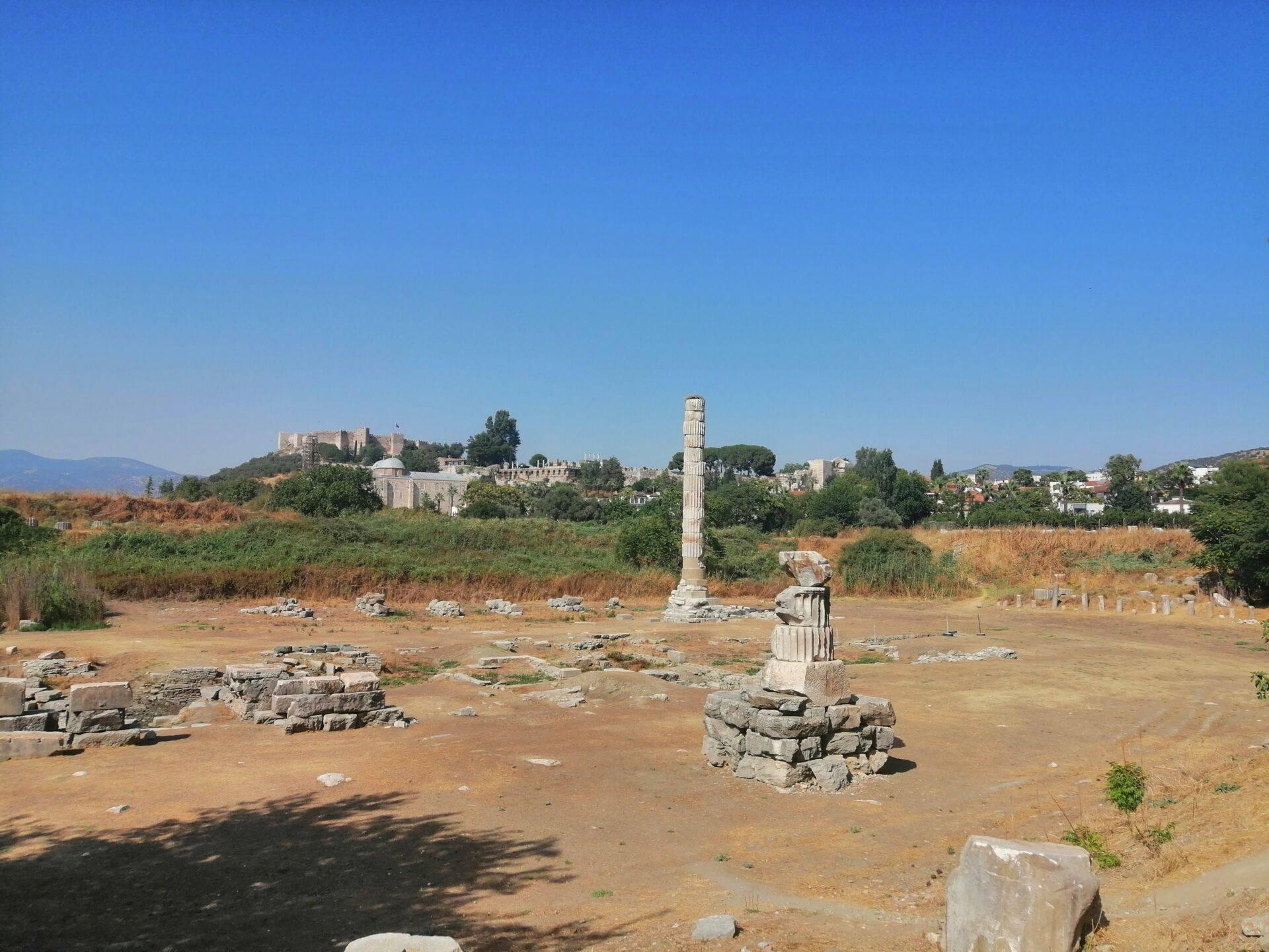 Ruines antiques avec colonne ionique isolée dans un site archéologique, citadelle fortifiée visible en arrière-plan sous ciel bleu