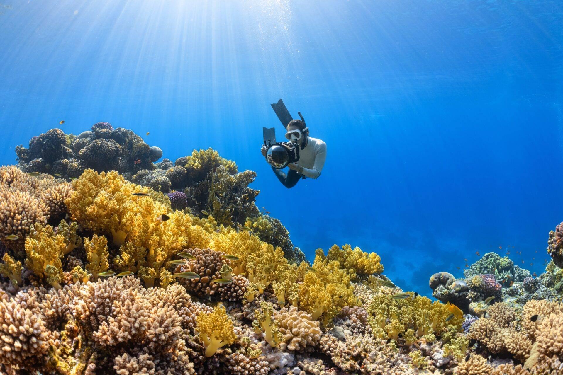 Un plongeur en équipement complet photographie un récif corallien coloré sous l’eau cristalline