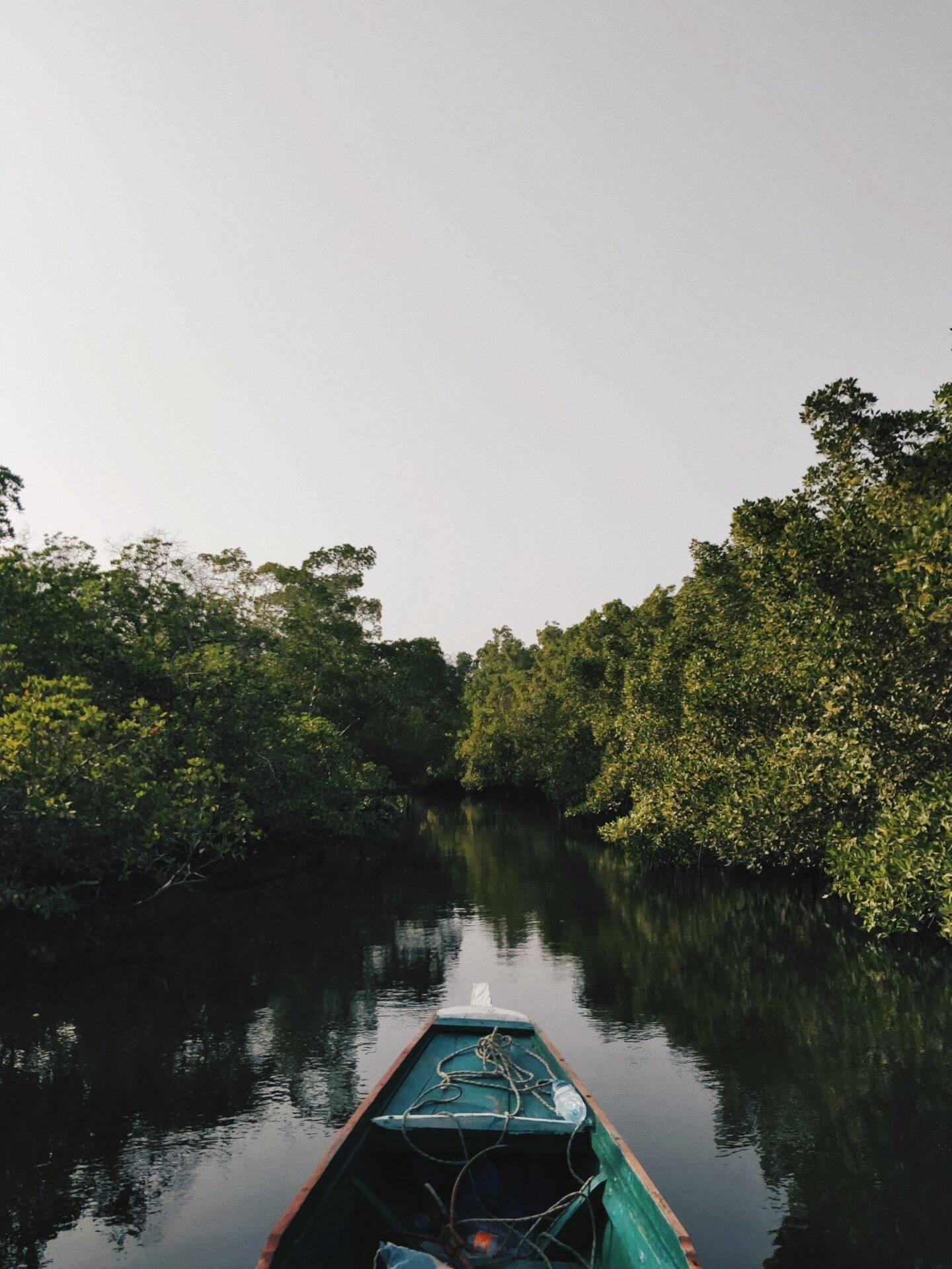 Sénégal delta de Siné-Saloum