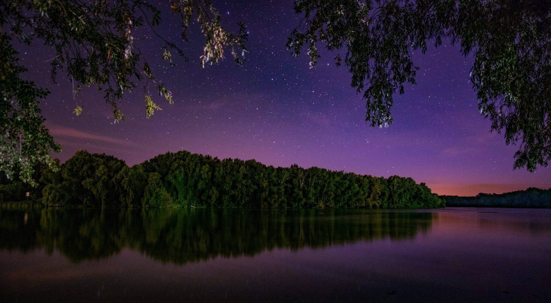 Paysage nocturne avec lac calme, rangée d’arbres se reflétant dans l’eau et ciel étoilé pourpre