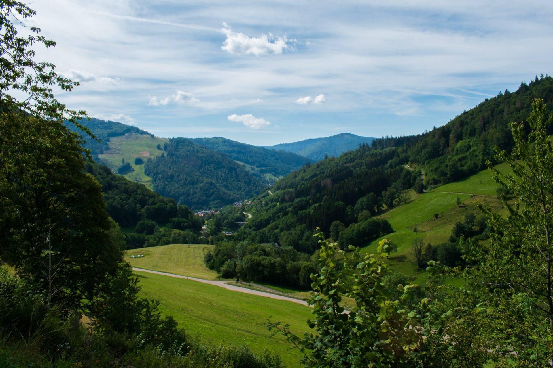 Vallée de montagne verdoyante avec rivière sinueuse, forêts de sapins et pâturages alpins sous ciel nuageux