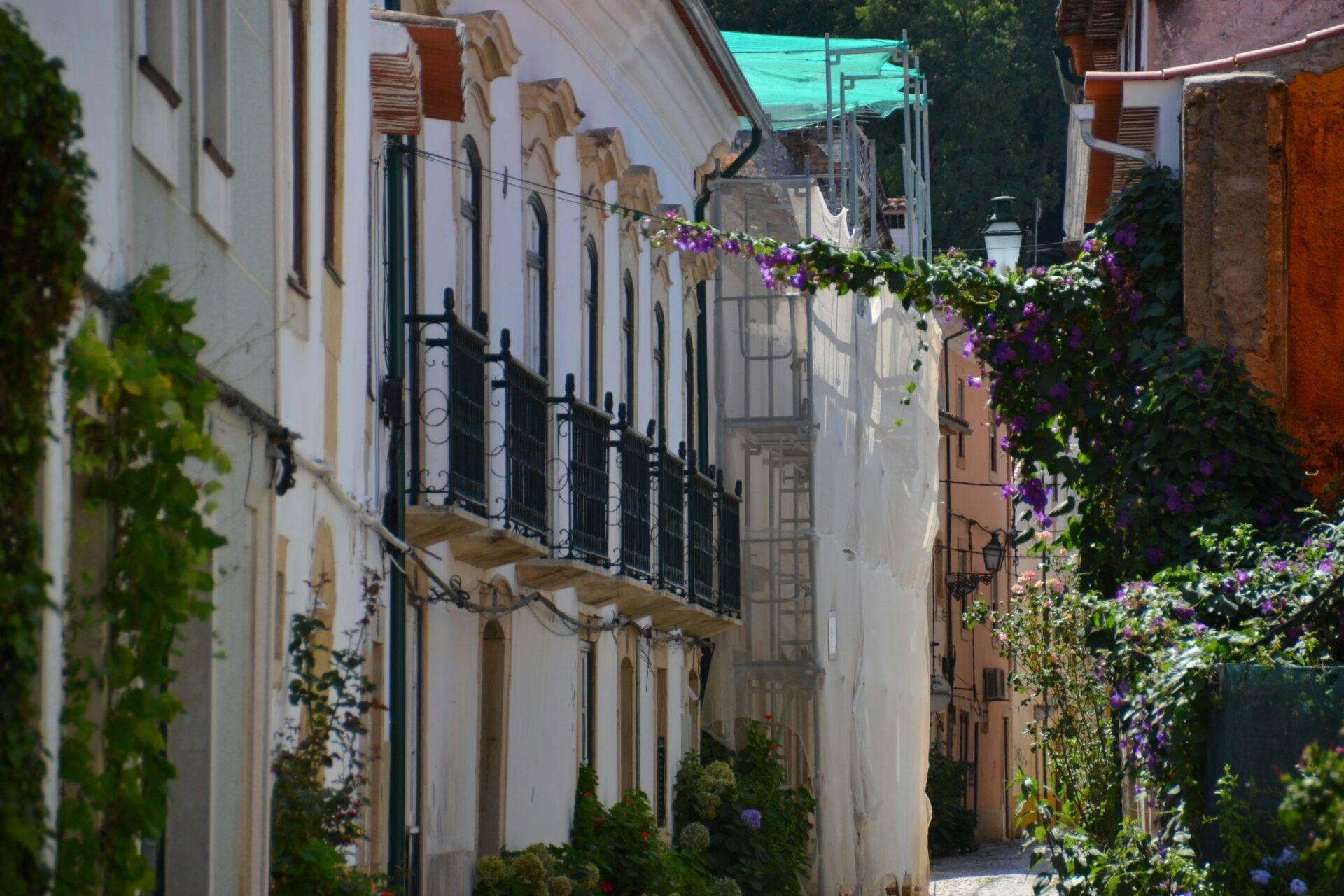 Ruelle pavée pittoresque bordée de maisons blanches et ocre décorées de fleurs pourpres et de lierre