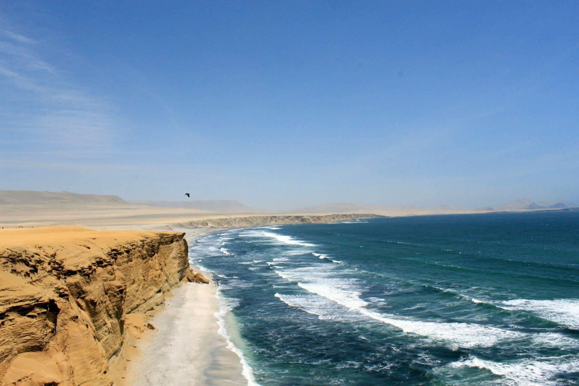 Falaise désertique surplombant une plage de sable blanc avec vagues turquoise et côte rocheuse sous ciel bleu dégagé