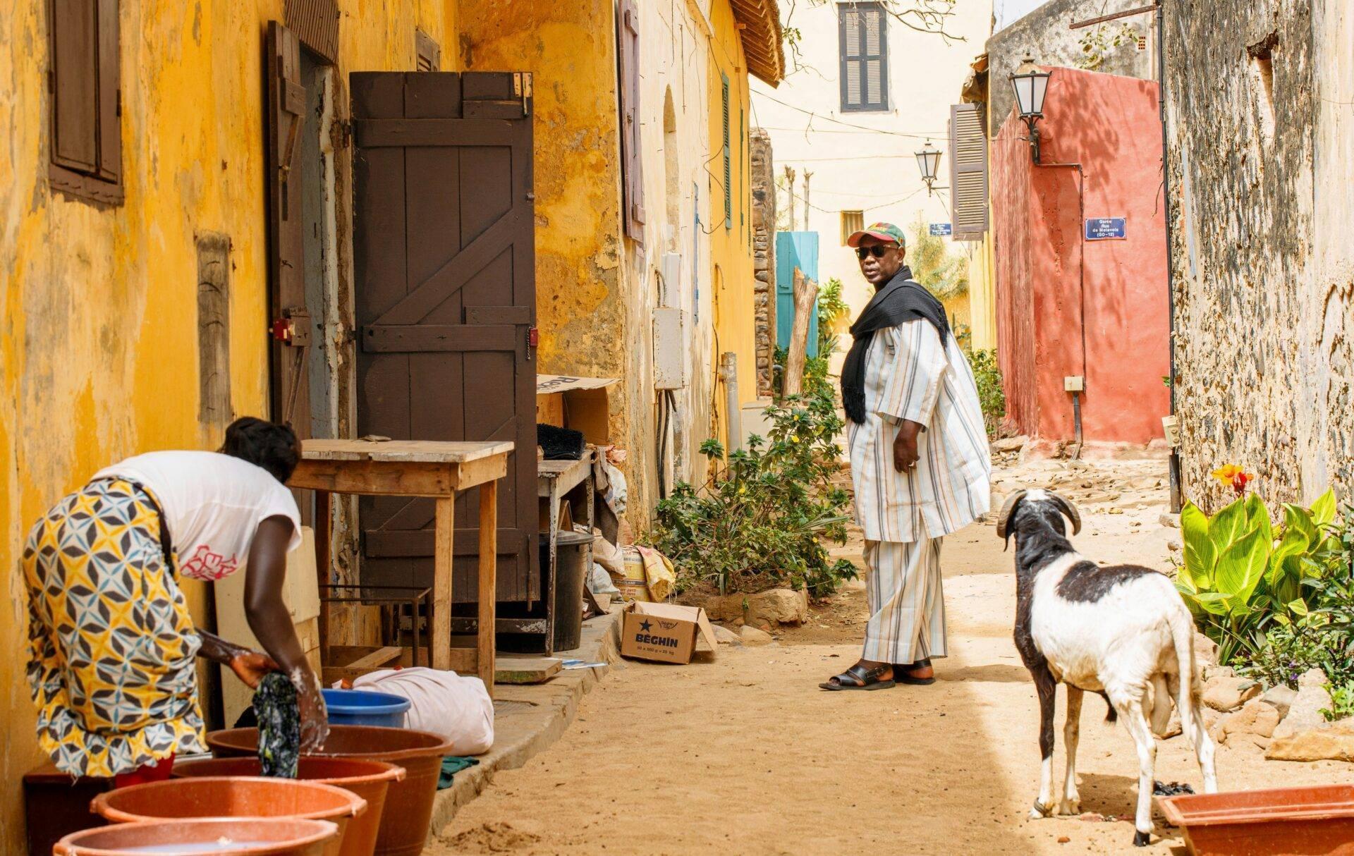 Une rue étroite de village colorée avec des maisons jaunes, rouges et roses, des habitants et une chèvre dans une ambiance authentique