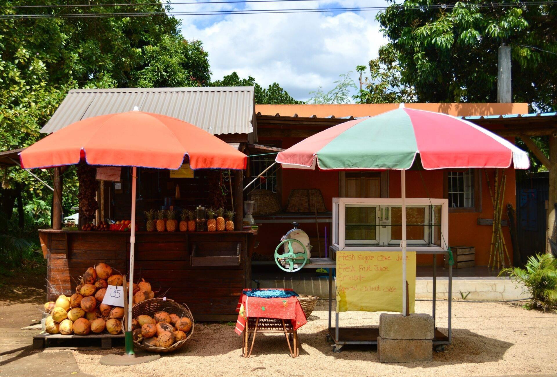 Petit commerce de fruits et légumes avec parasols colorés dans un cadre tropical rural mauricien