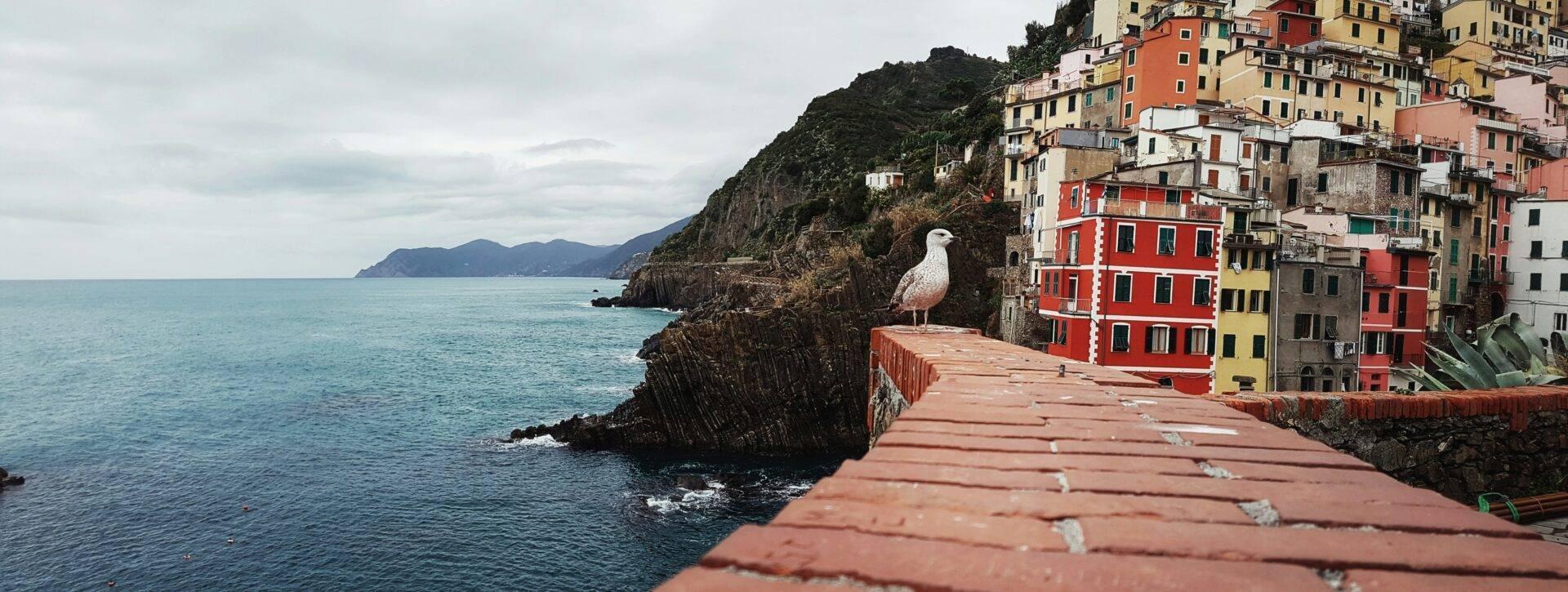 Un village côtier coloré perché sur une falaise rocheuse avec une mouette sur une terrasse en bois surplombant la mer