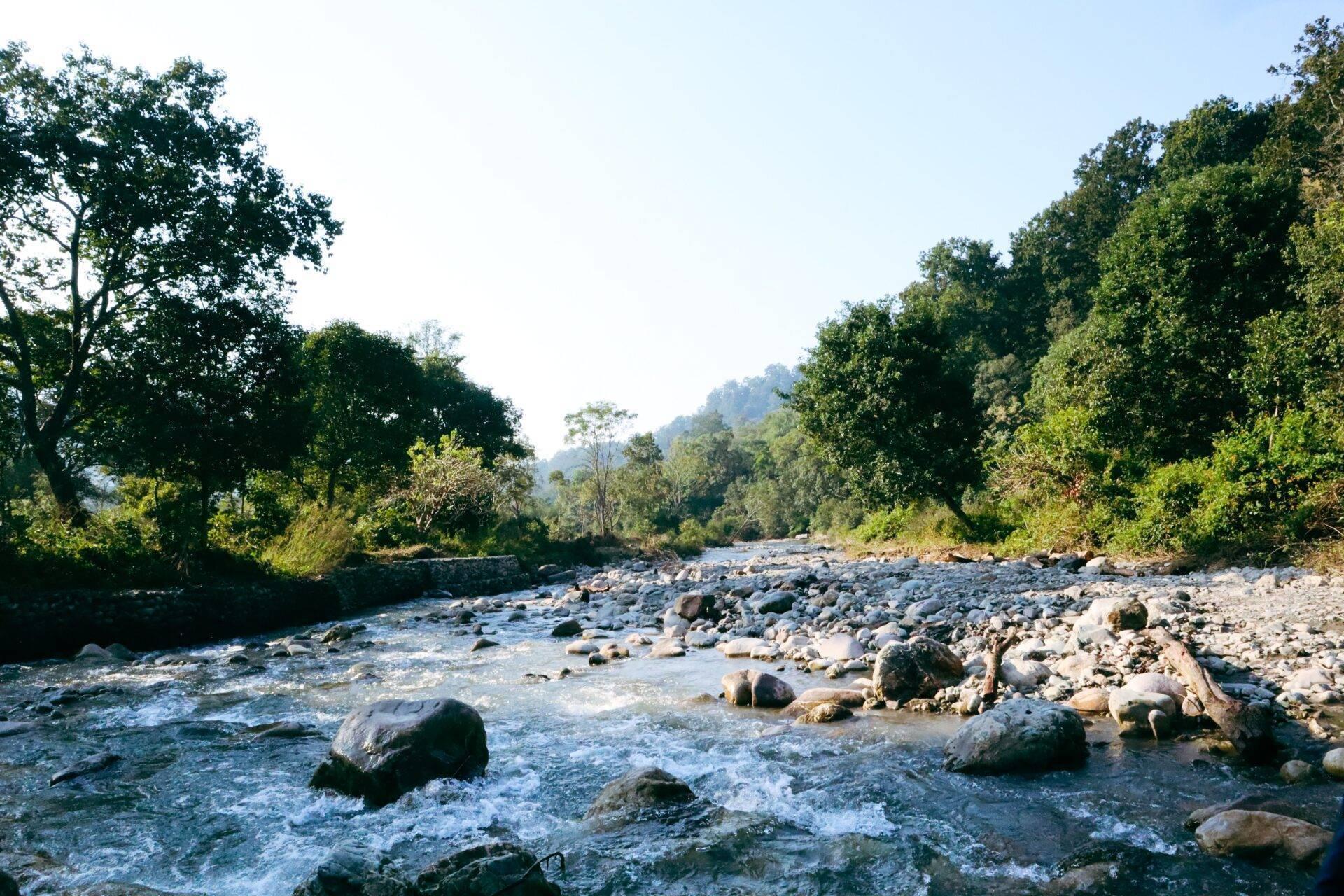 Une rivière rocailleuse bordée de forêts tropicales denses sous un ciel dégagé en région montagneuse