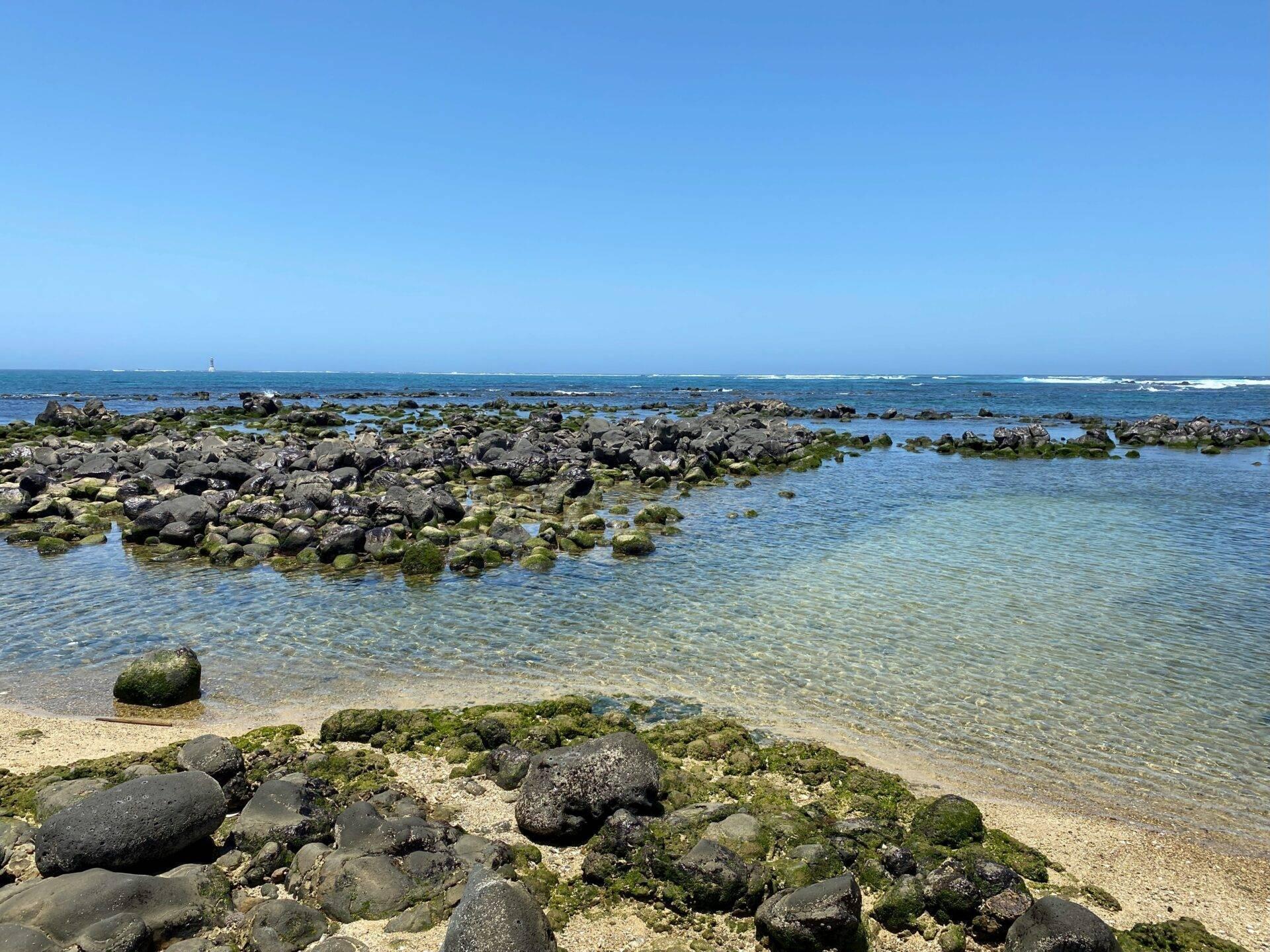 Plage rocheuse avec sable blanc et algues vertes sous un ciel bleu dégagé en bord de mer