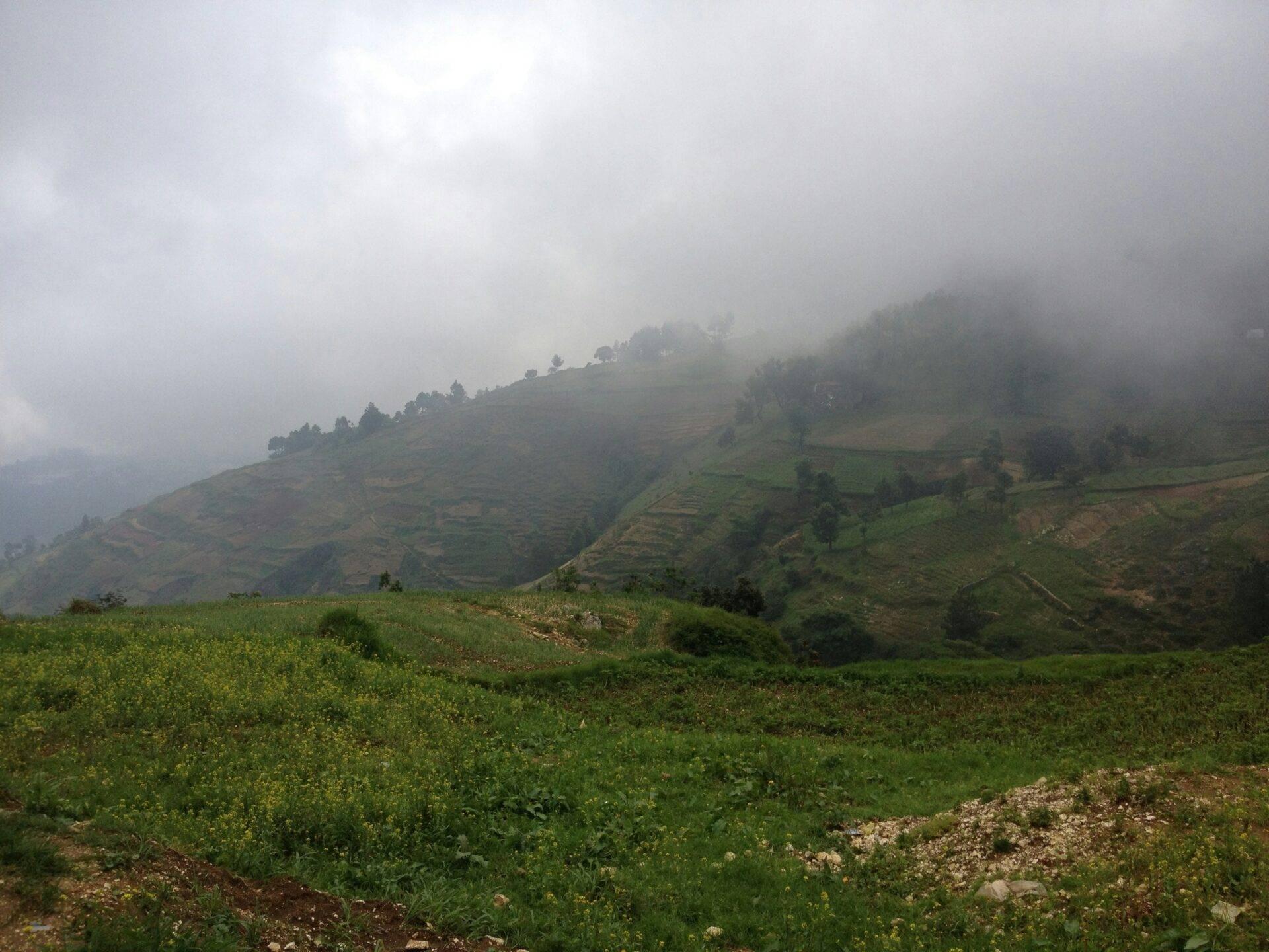 Paysage montagneux brumeux avec terrasses agricoles verdoyantes et brouillard dense enveloppant les collines