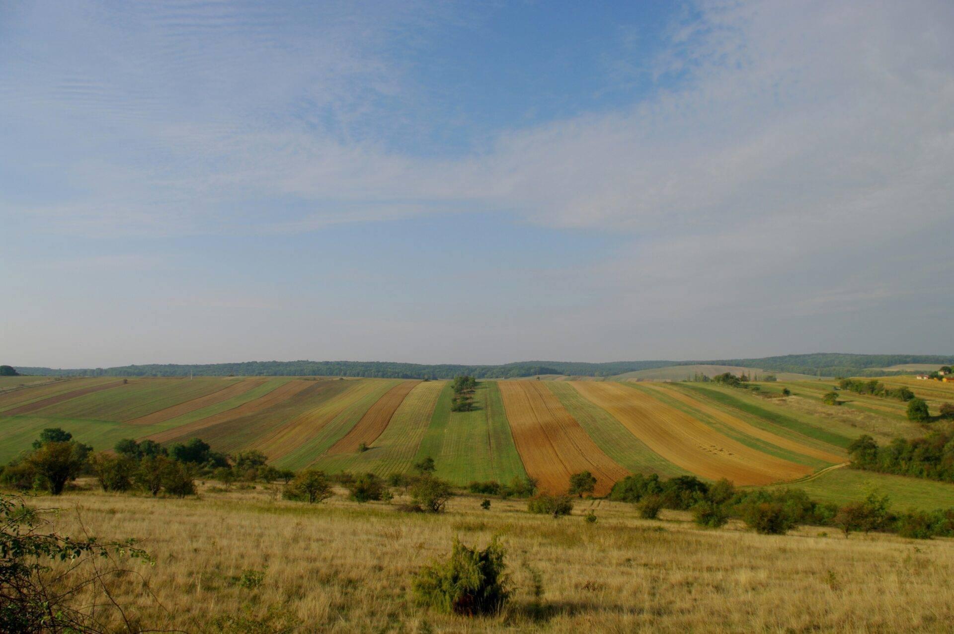 Vaste paysage agricole ondulant avec champs cultivés et forêts, sous un ciel dégagé en région de plaines