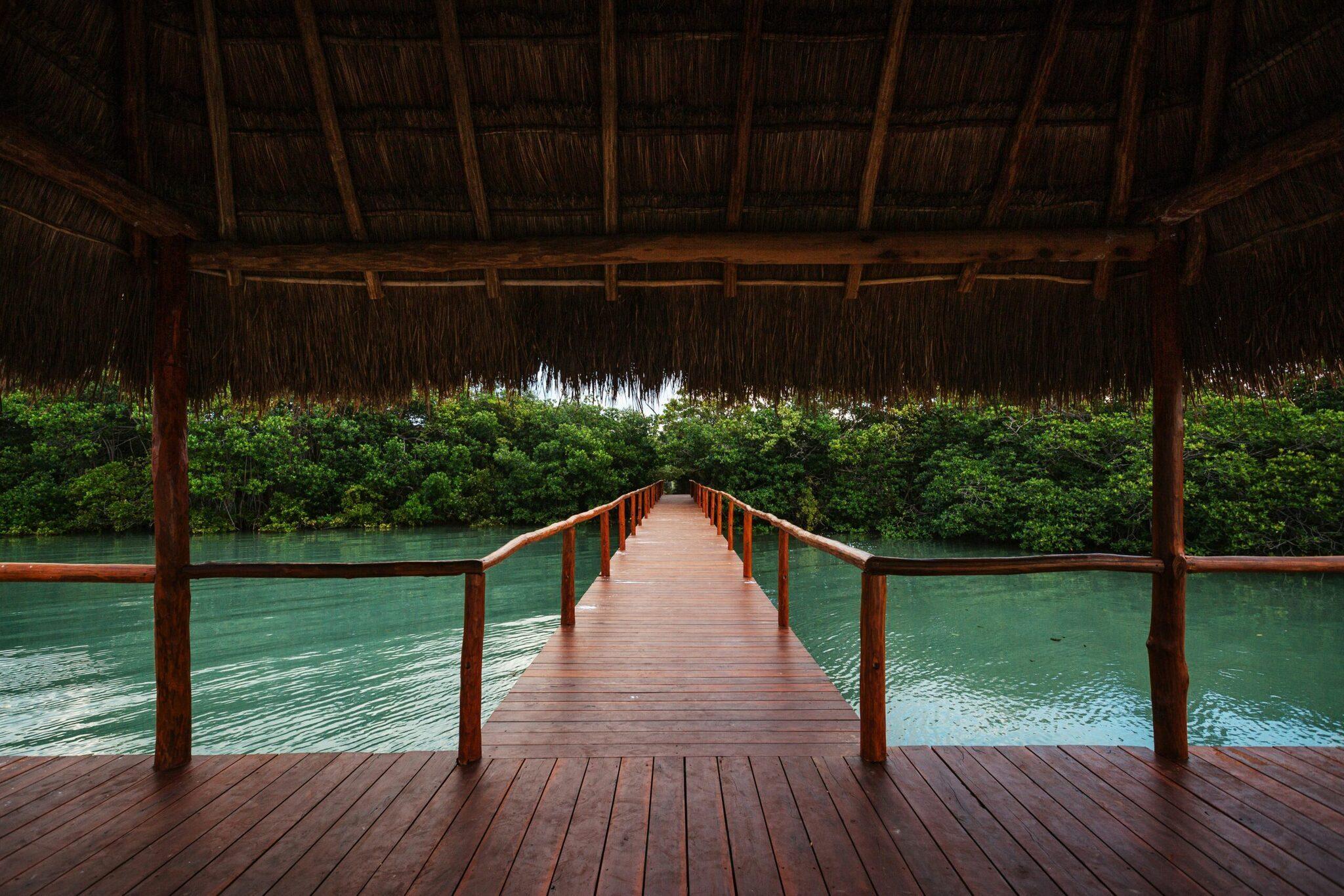 Passerelle en bois sous auvent de chaume surplombant des eaux turquoise entourées de mangroves luxuriantes