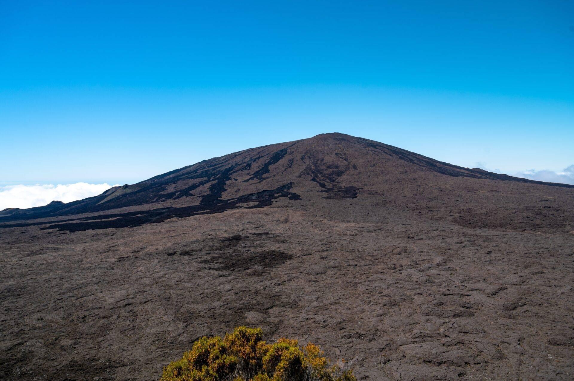 Un cône volcanique aux pentes sombres et rocheuses sous un ciel bleu dégagé avec végétation jaune en avant-plan