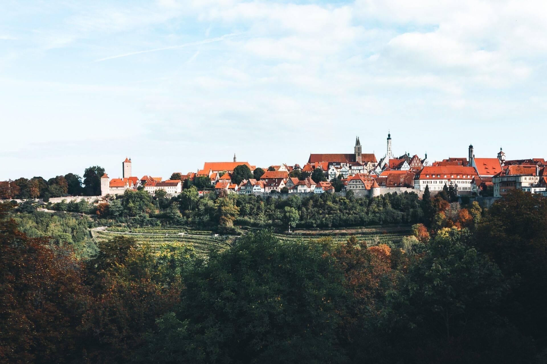 Vue panoramique d’une ville médiévale allemande perchée sur une colline avec toits rouges et clochers, entourée de vignobles et forêts
