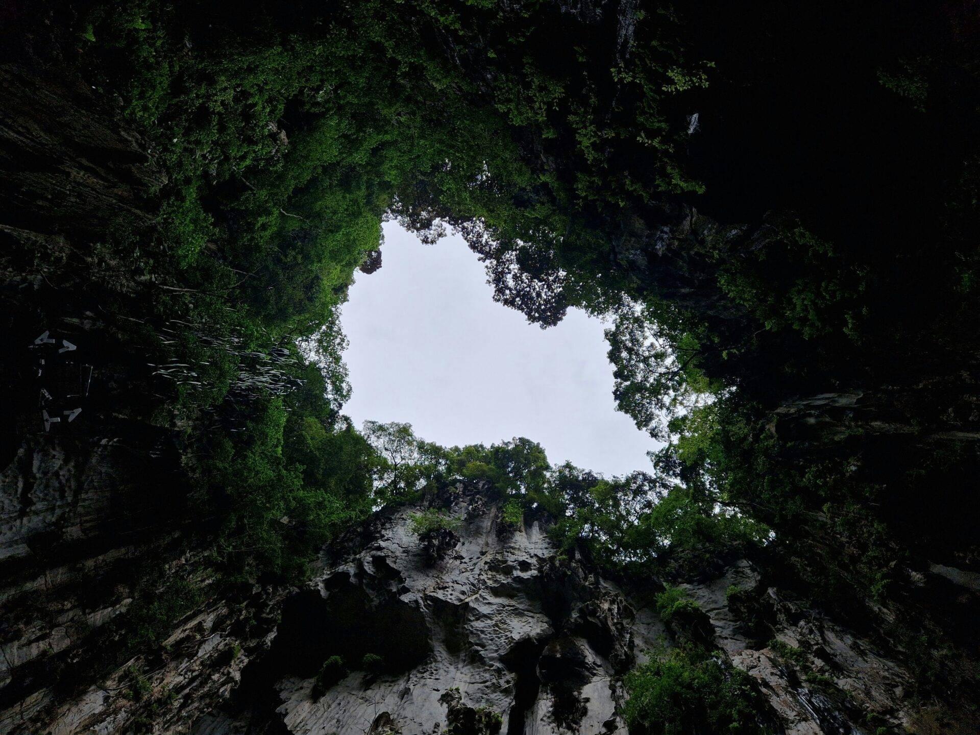 Vue depuis le fond d’un gouffre rocheux couvert de végétation luxuriante, regardant vers le ciel