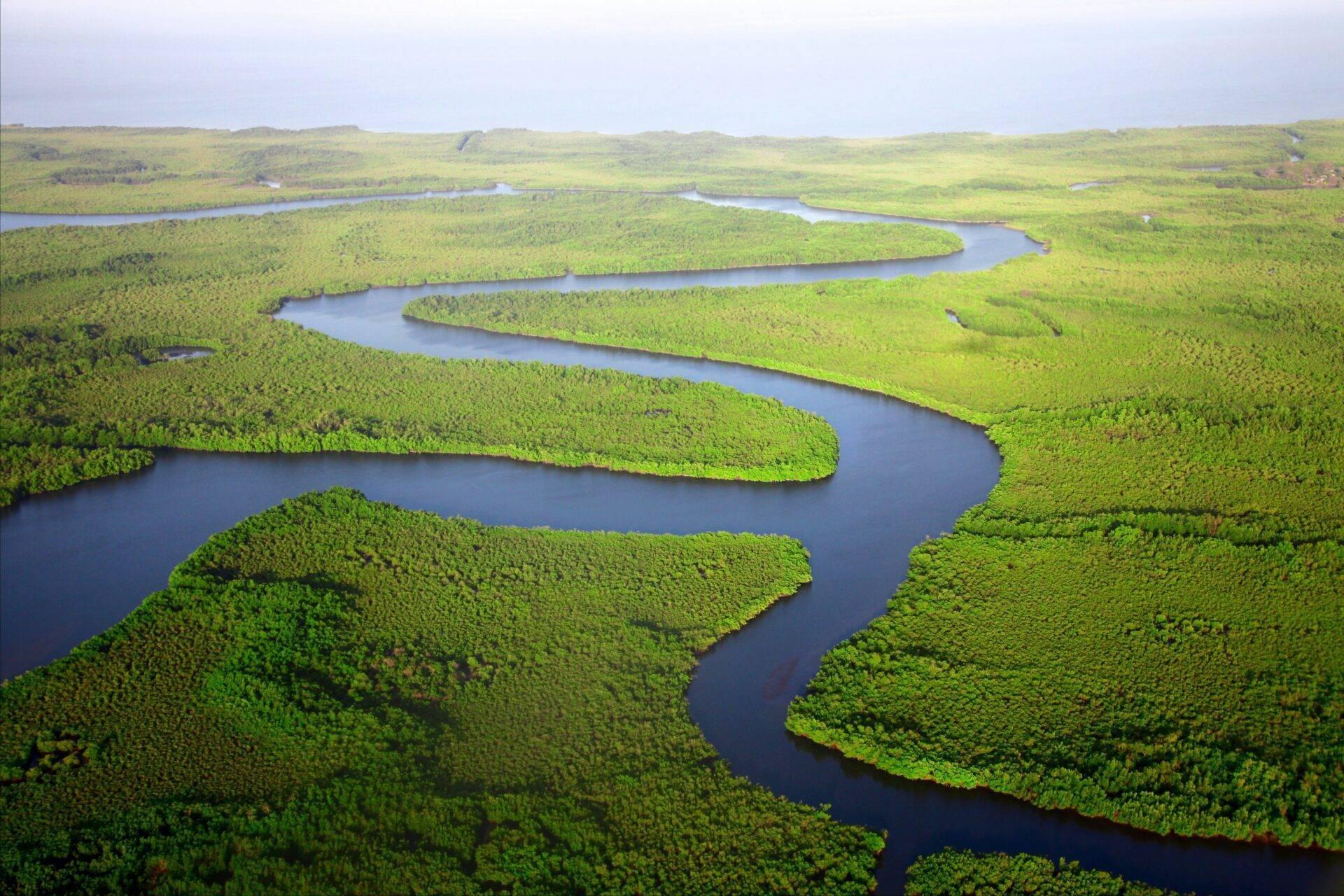 Vue aérienne d’un méandre fluvial sinueux traversant une forêt dense et verdoyante avec des clairières