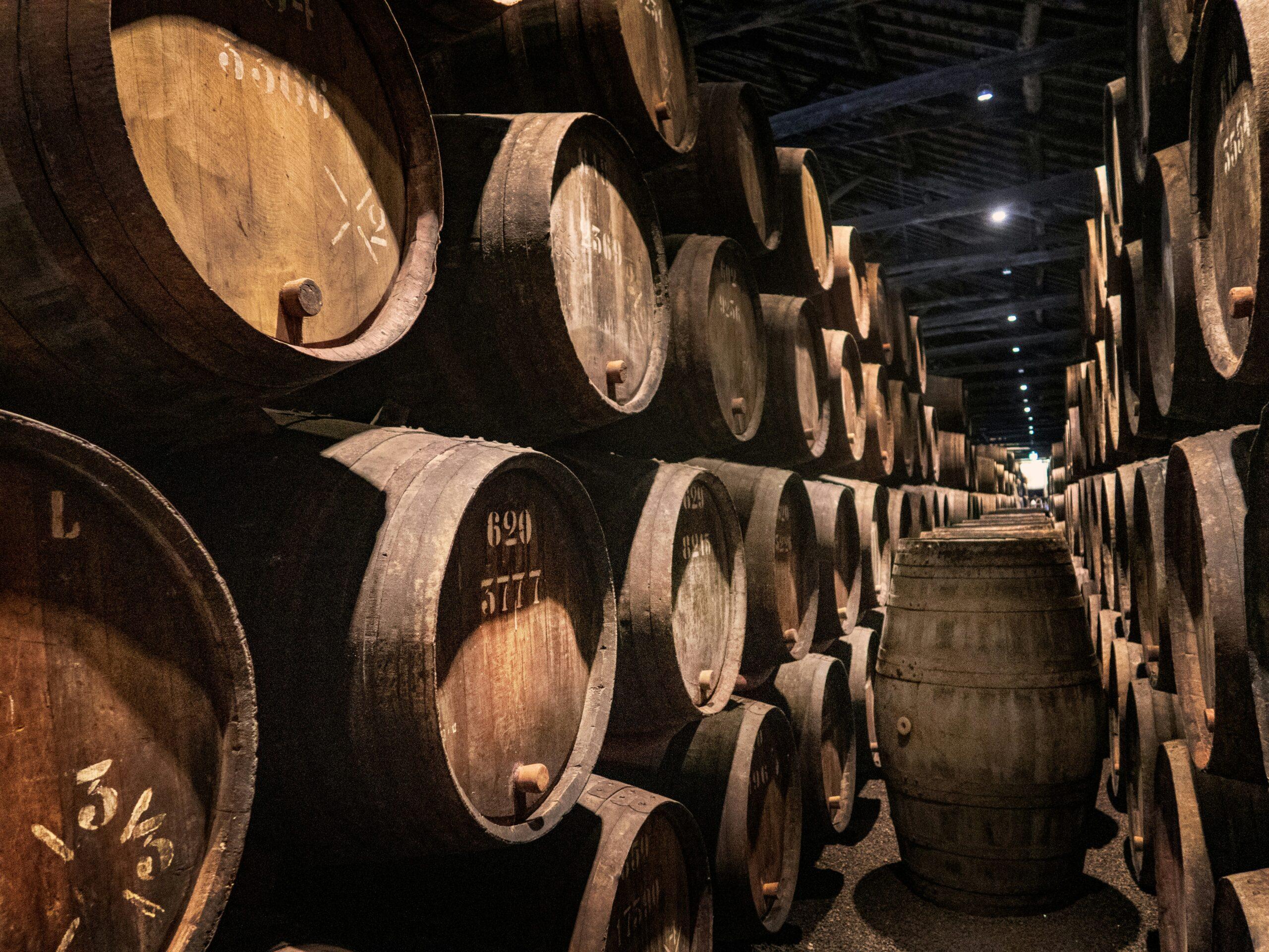 Rangées de tonneaux de vin empilés dans une cave souterraine illuminée, avec des numéros gravés sur le bois