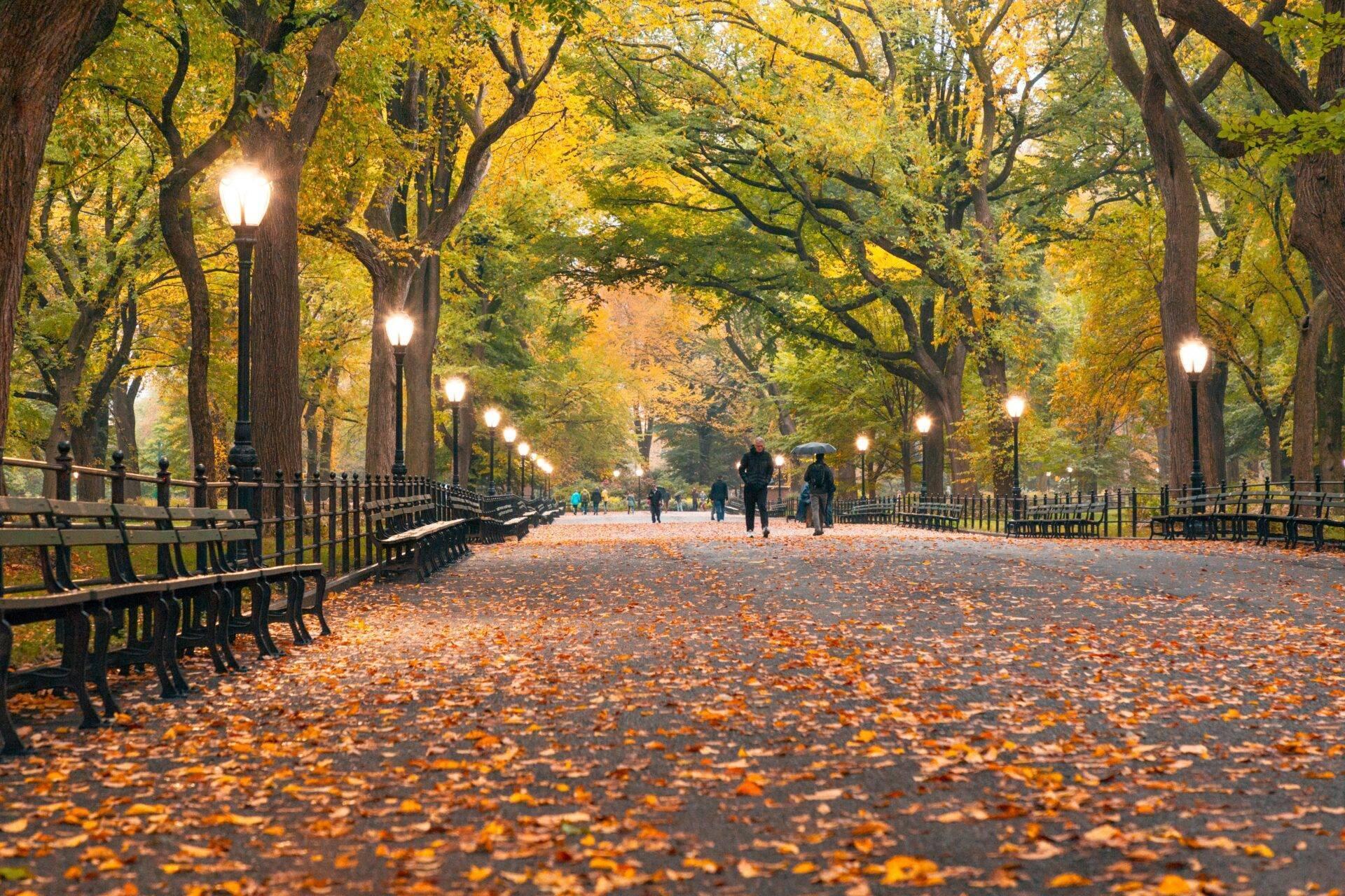Allée d’automne bordée de bancs et lampadaires illuminés avec feuilles dorées et visiteurs flânant