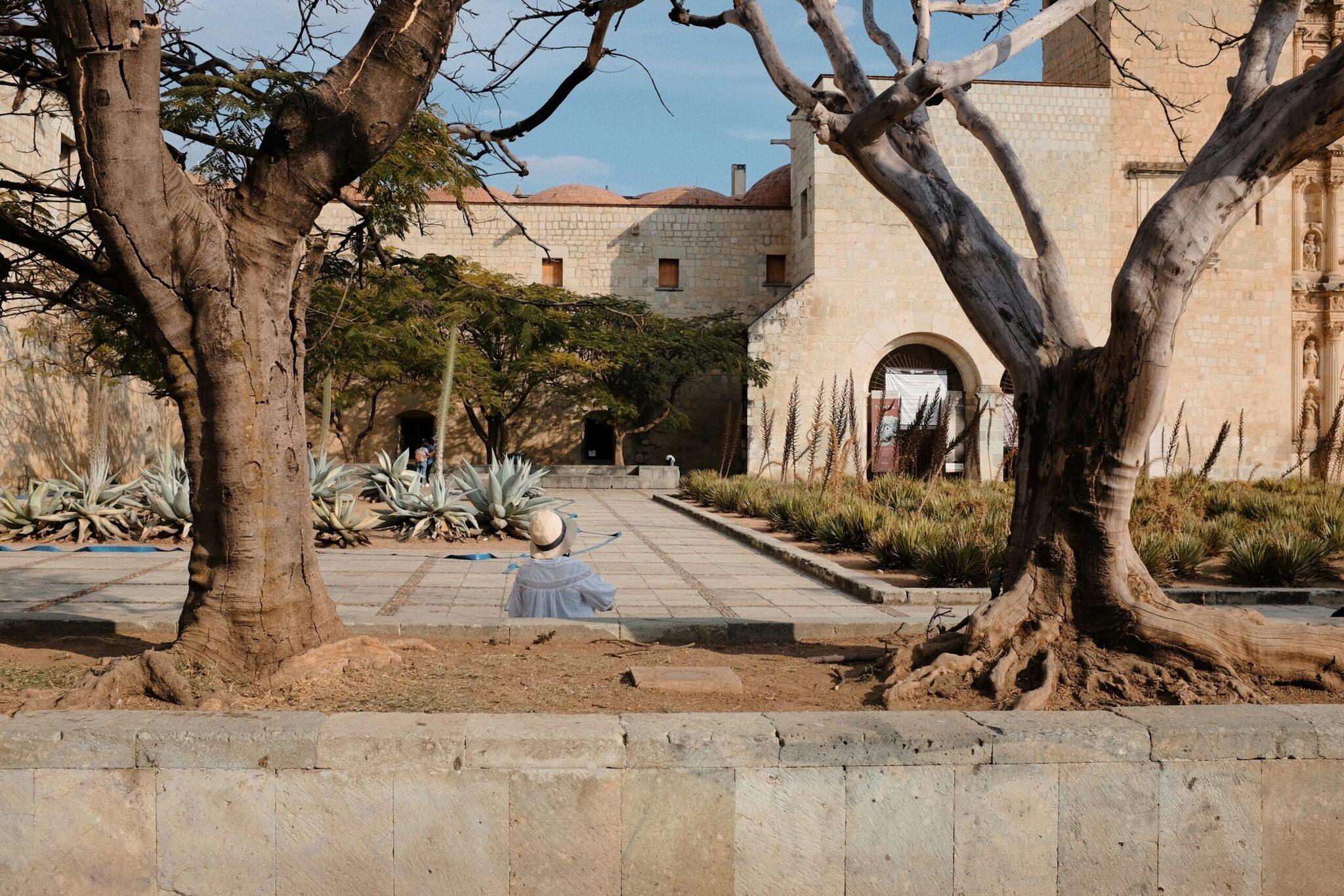 Cour intérieure d’un monastère colonial avec arbres centenaires, architecture de pierre et végétation désertique sous ciel bleu