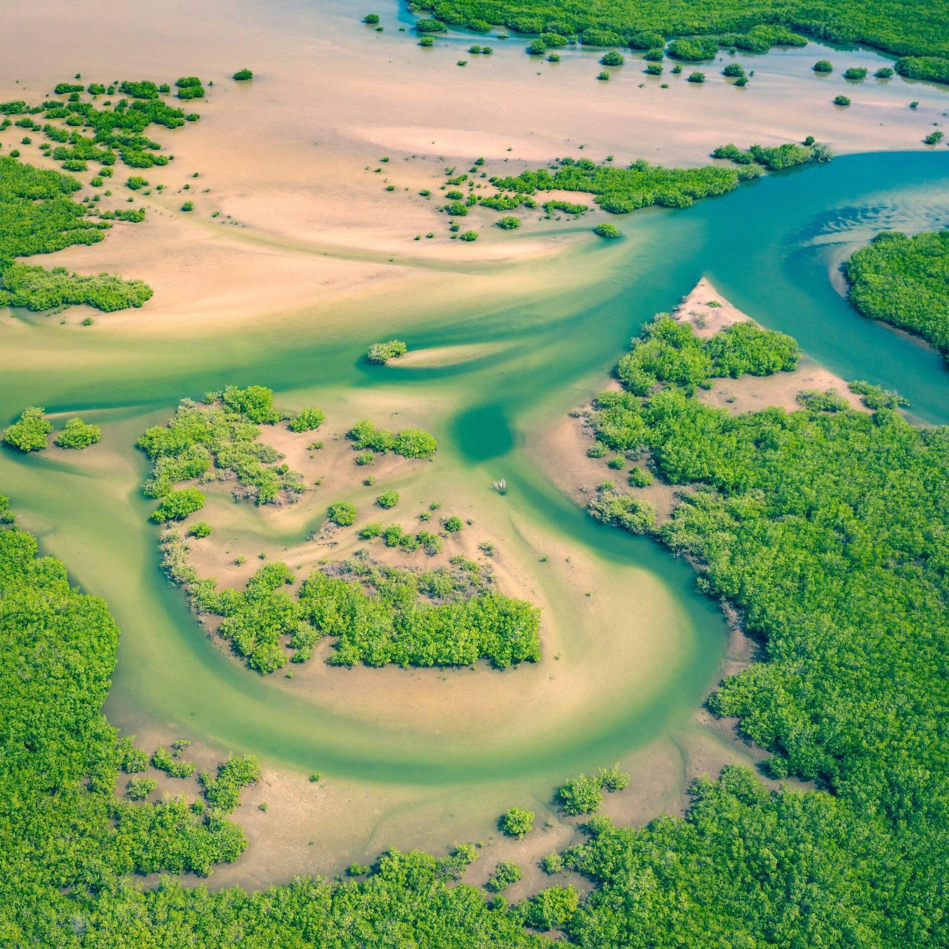 Sénégal Parc national du Niokolo-Koba