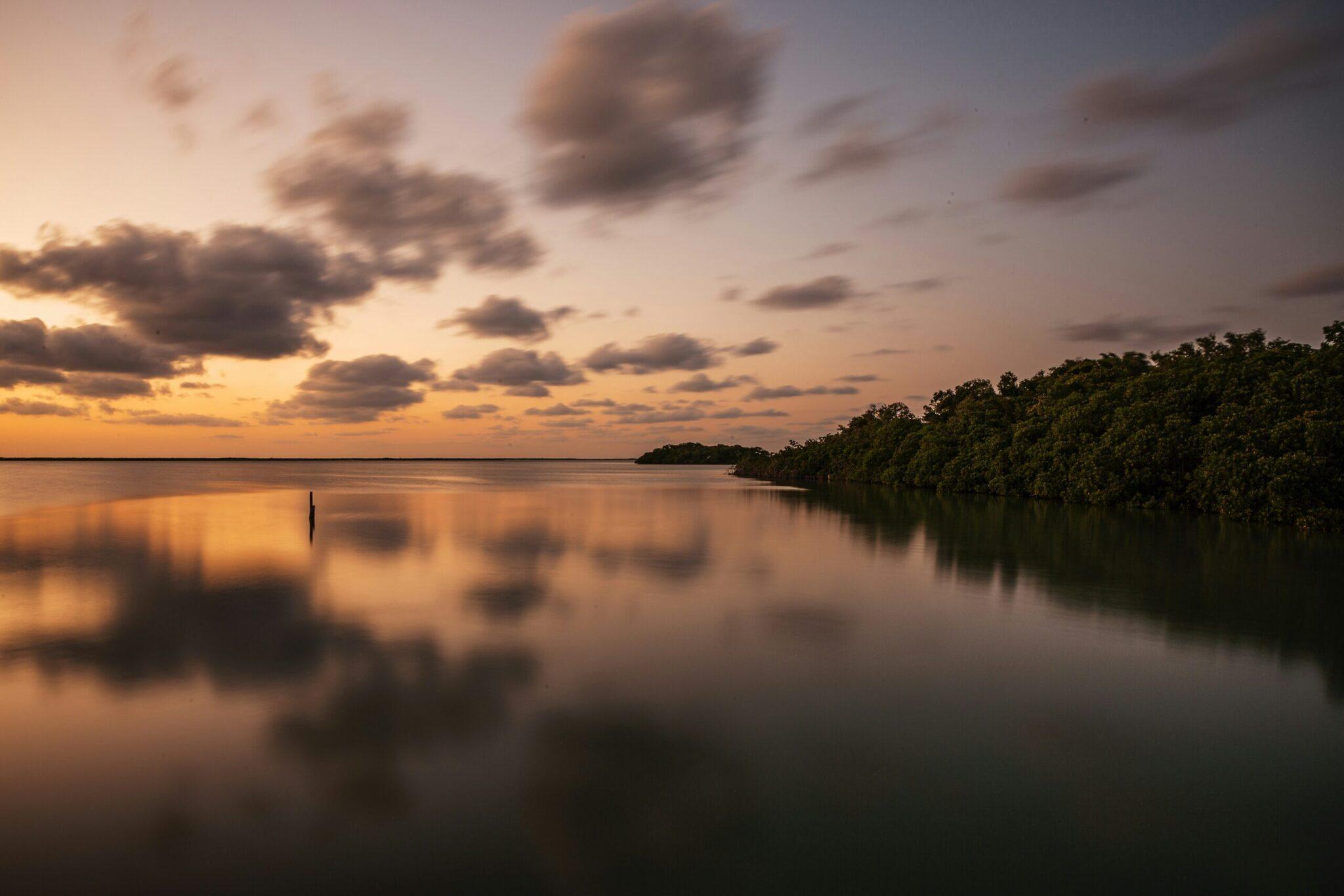 Coucher de soleil sur une baie calme avec mangroves denses reflétées dans l’eau miroir