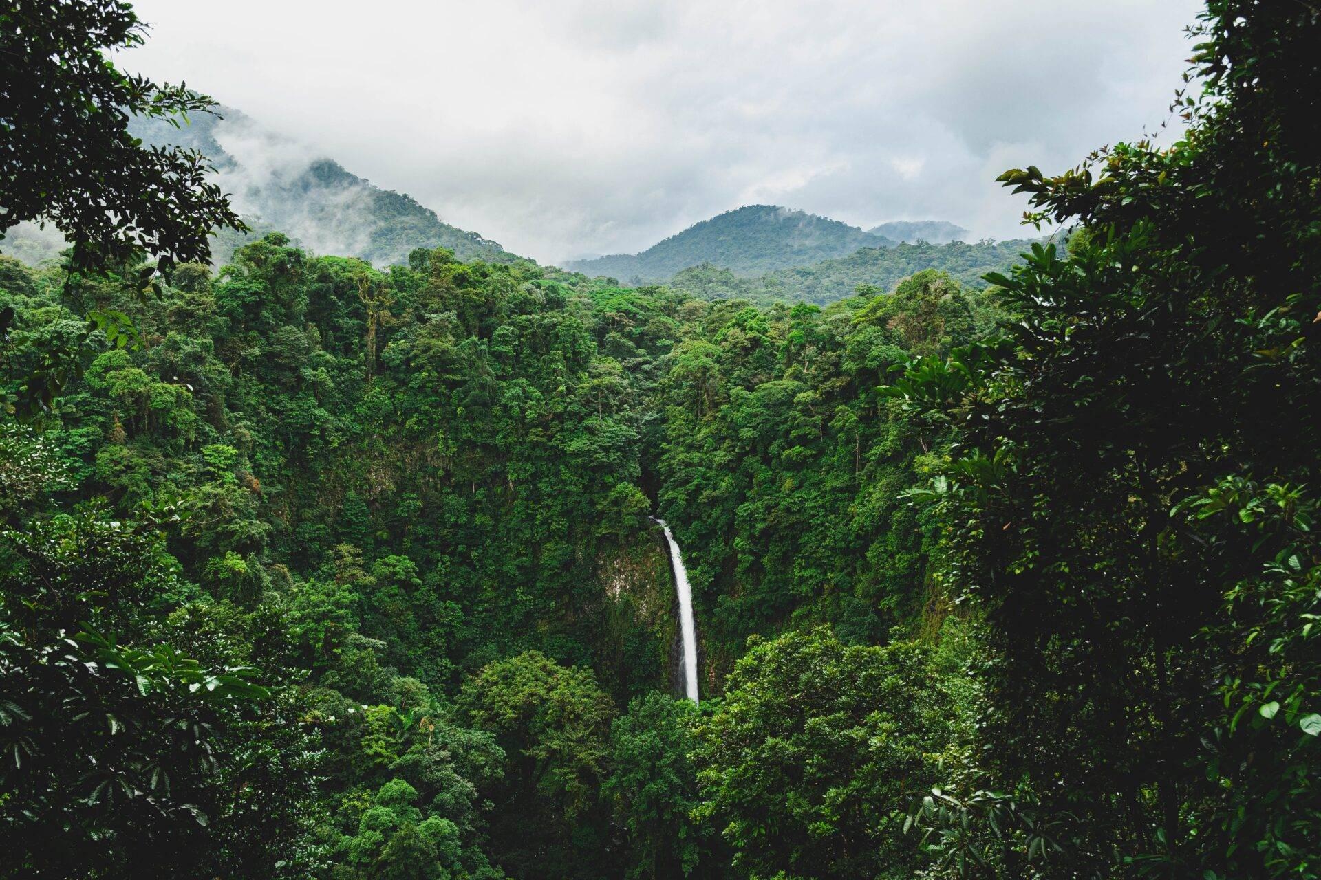 Une cascade blanche dégringole au cœur d’une forêt tropicale luxuriante entourée de montagnes brumeuses
