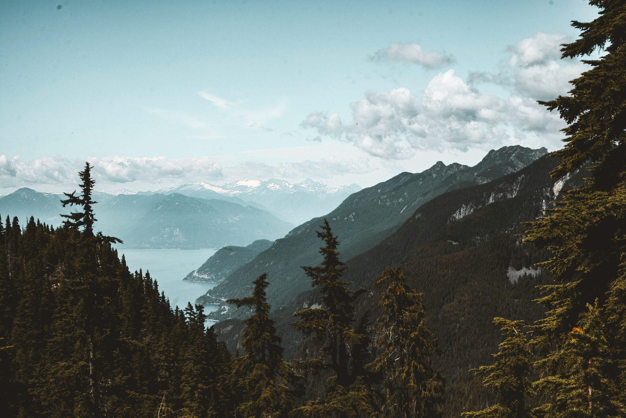 Vue panoramique d’une vallée alpine avec lac de montagne, forêts de conifères et pics enneigés en arrière-plan