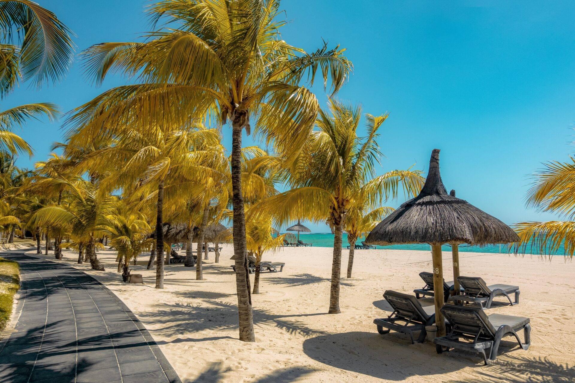 Plage tropicale avec palmiers, chaises longues, parasol en chaume et lagon turquoise sous ciel bleu dégagé