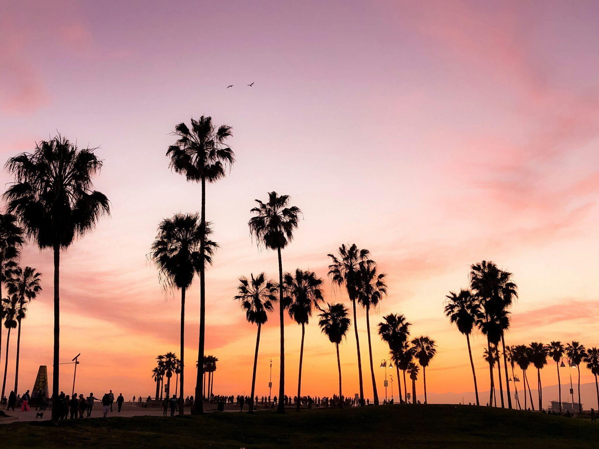Coucher de soleil sur une plage avec palmiers et silhouettes de promeneurs au bord de l’océan