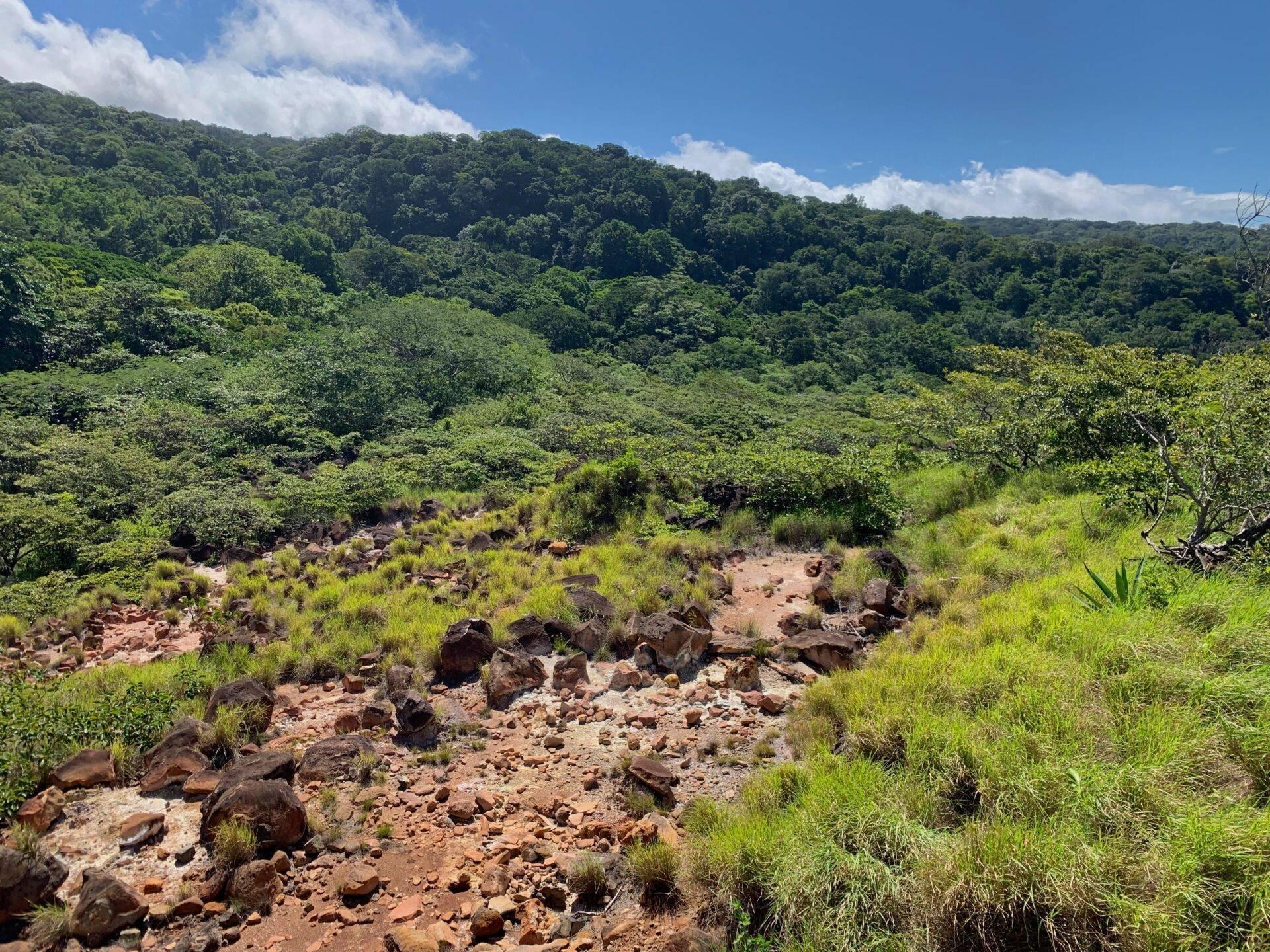 Paysage montagneux tropical avec forêt dense, cours d’eau rocheux et végétation luxuriante sous ciel bleu