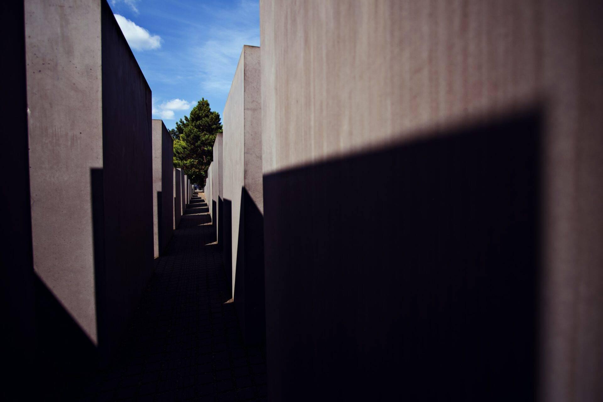 Couloir de stèles grises de béton sous ciel bleu avec arbre et ombres contrastées en arrière-plan