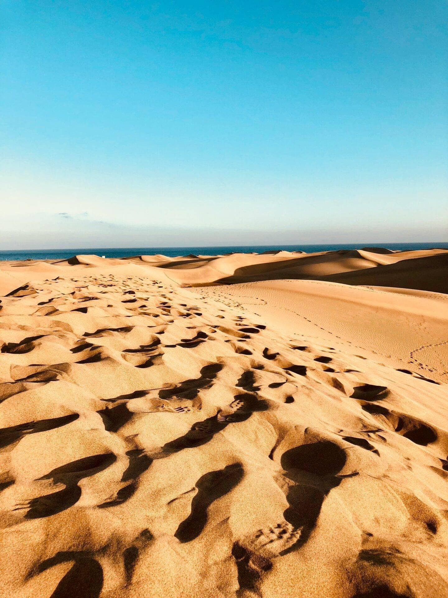 Dunes de sable ondulantes au bord de l’océan sous un ciel bleu clair, avec des ombres marquantes au sol
