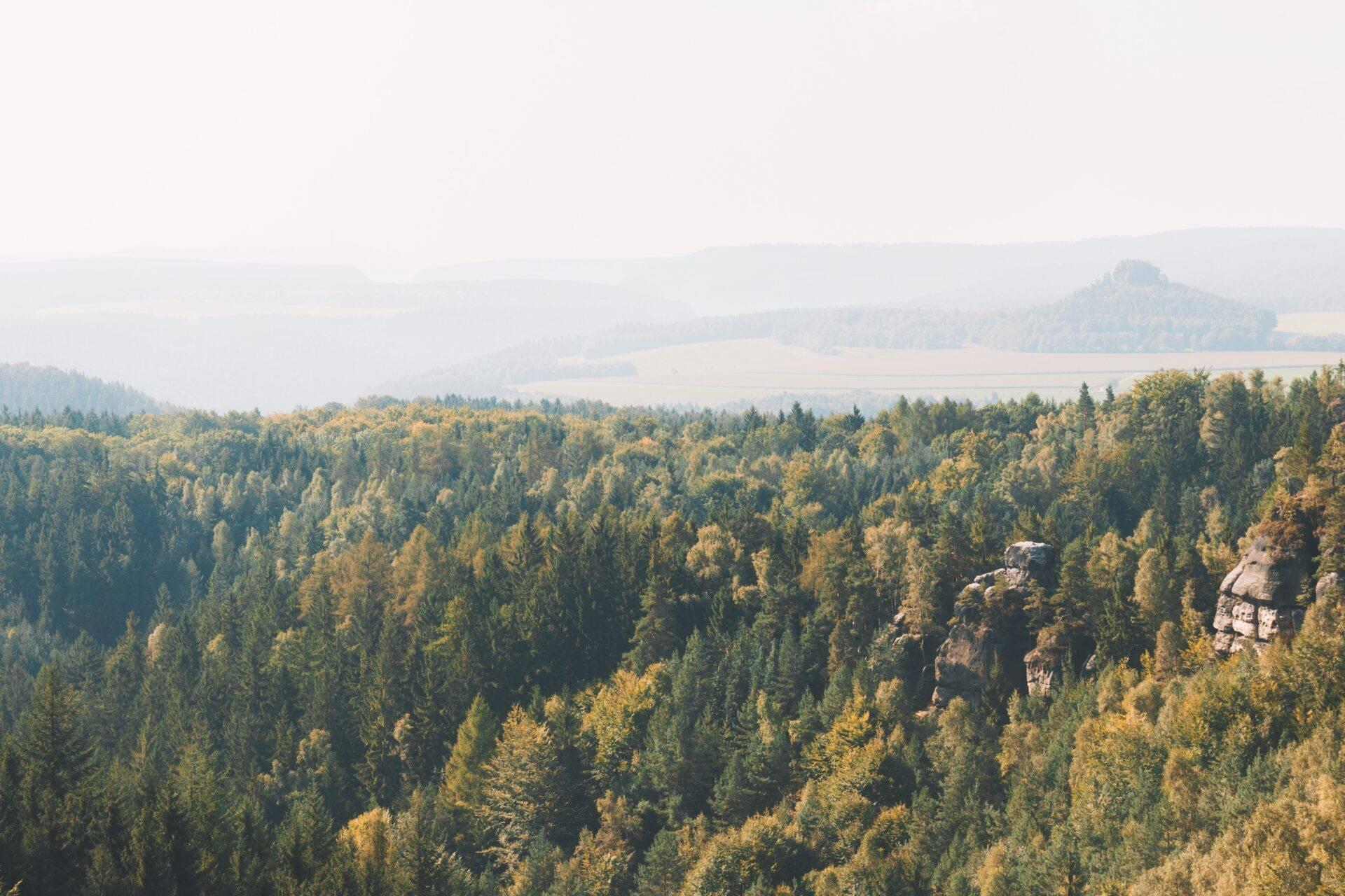 Vaste forêt de conifères en automne avec formations rocheuses et plateaux agricoles en arrière-plan