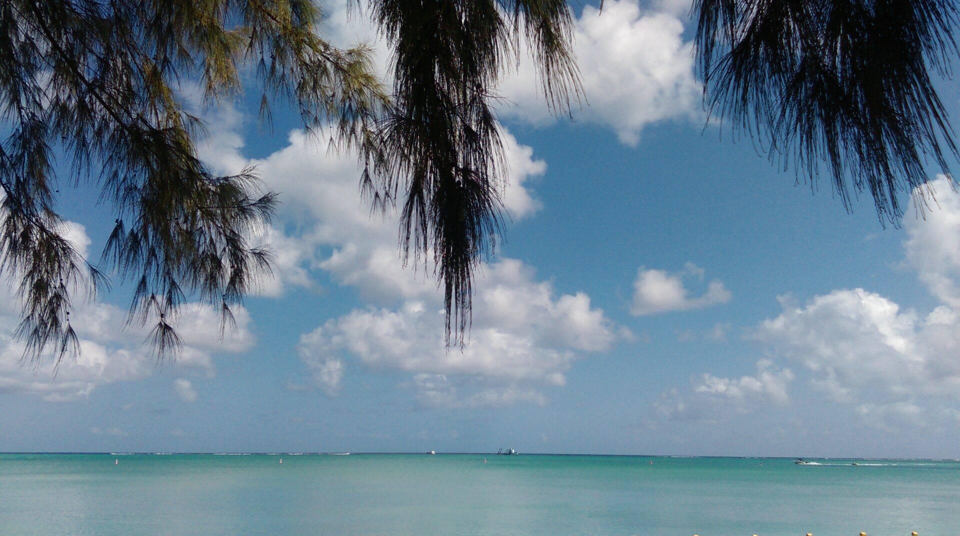 Plage tropicale avec eaux turquoise, arbres aux branches retombantes et ciel nuageux, vue sereine de lagon idéal