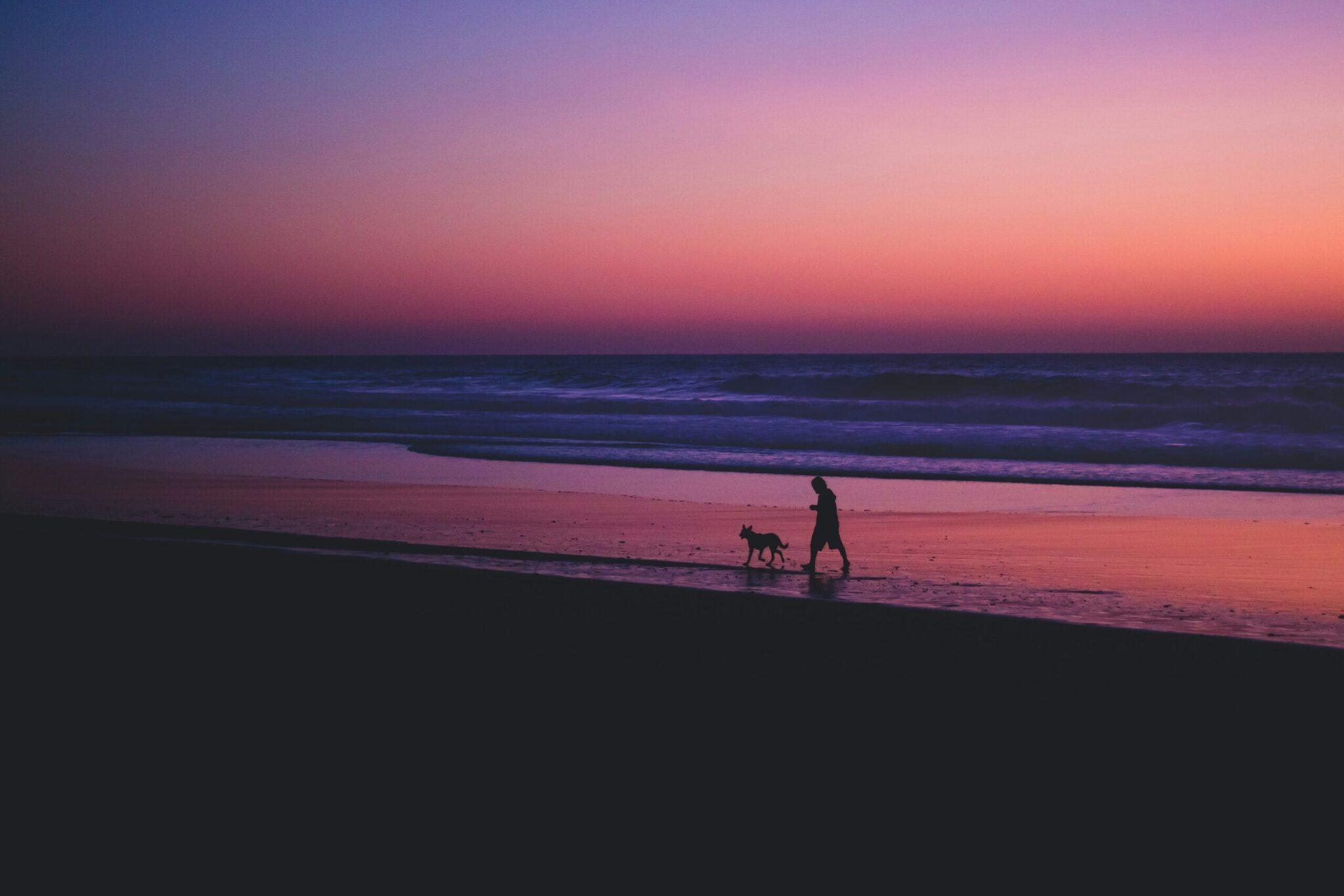 Une personne et son chien marchent au bord d’une plage au coucher de soleil, sous un ciel rose et violet