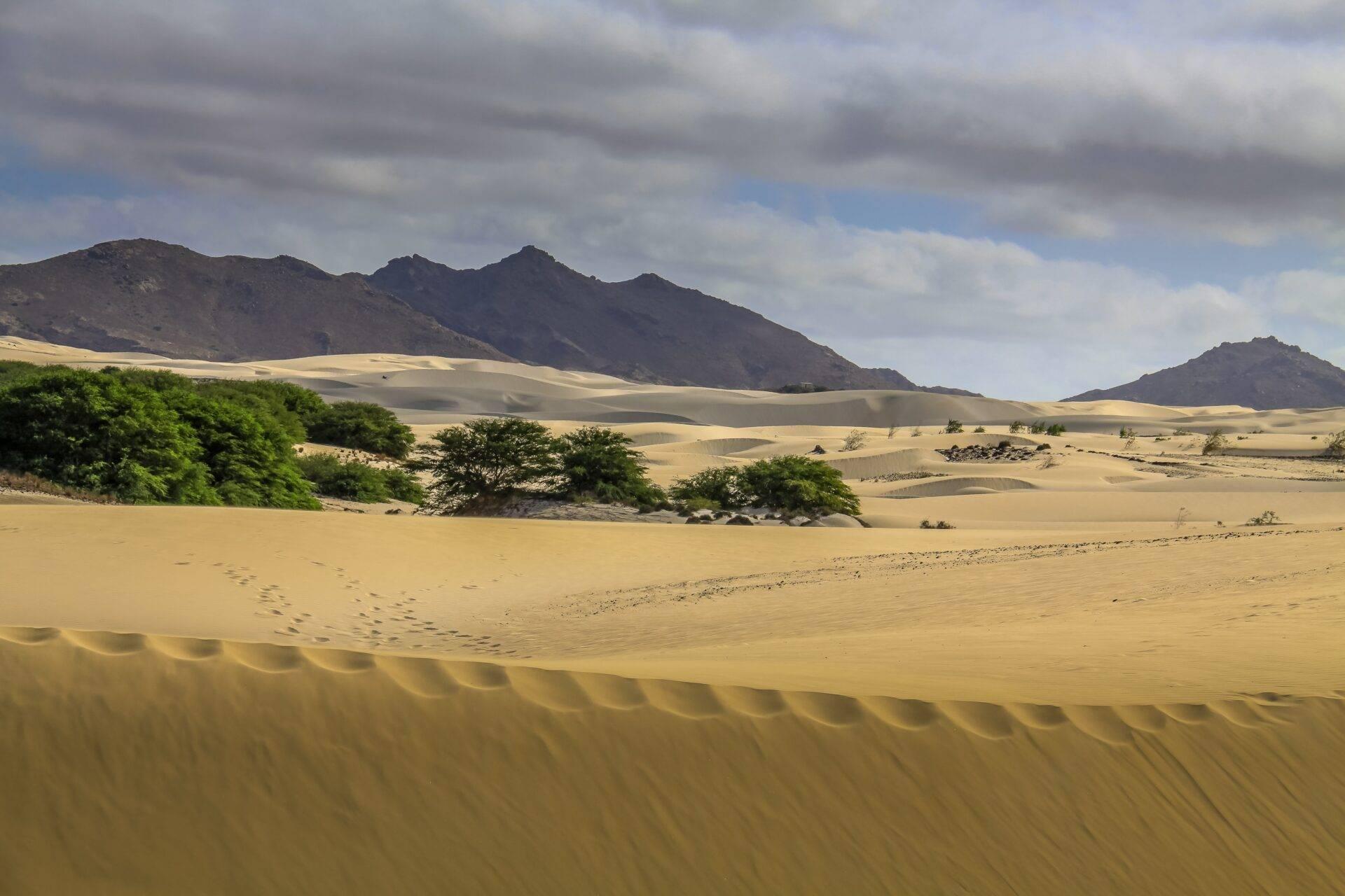 Dunes de sable désertique avec végétation verte et montagnes volcaniques en arrière-plan sous ciel nuageux