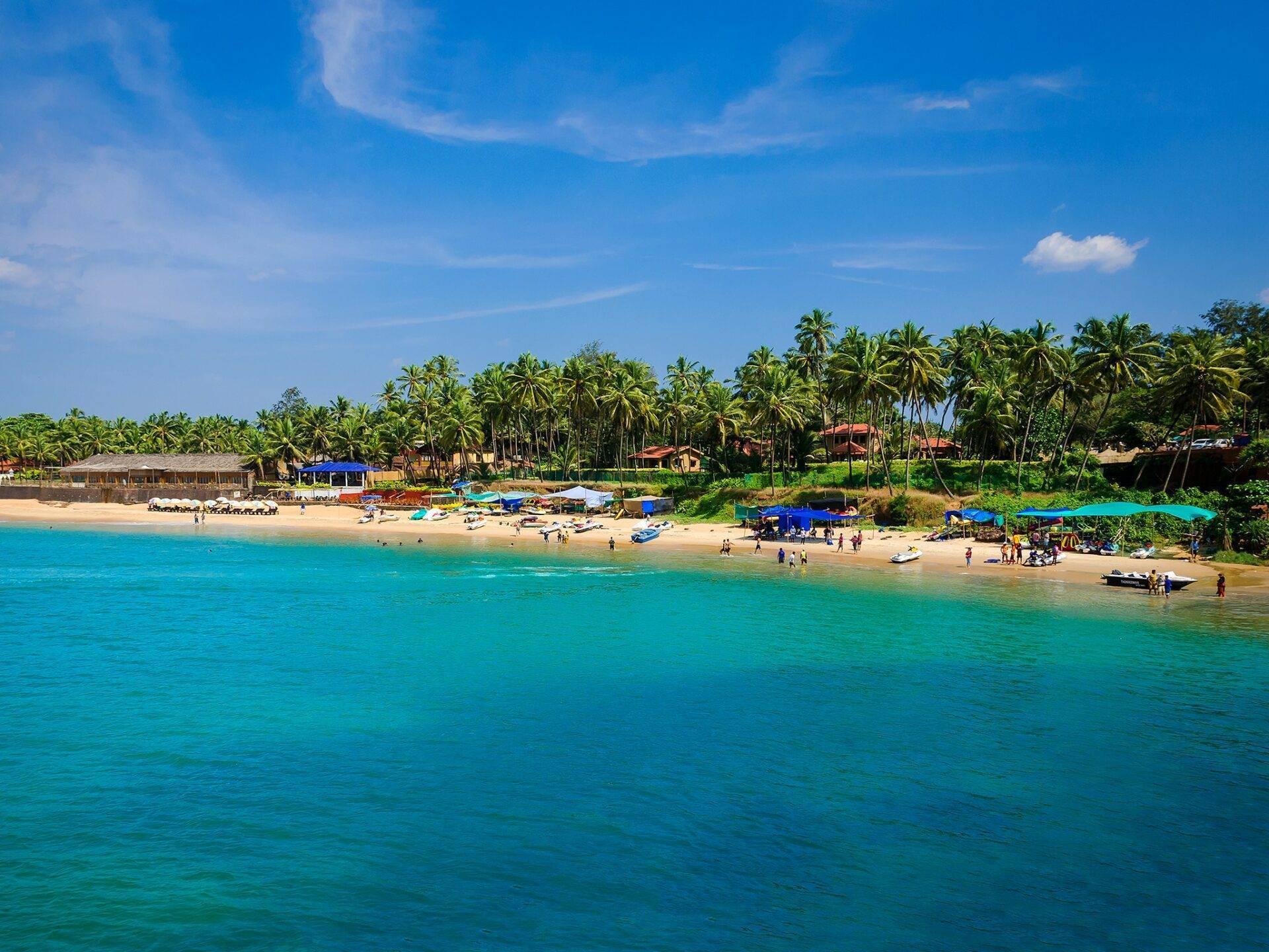 Une plage tropicale avec sable blanc, eau turquoise, palmiers et petits abris bleus sous un ciel dégagé