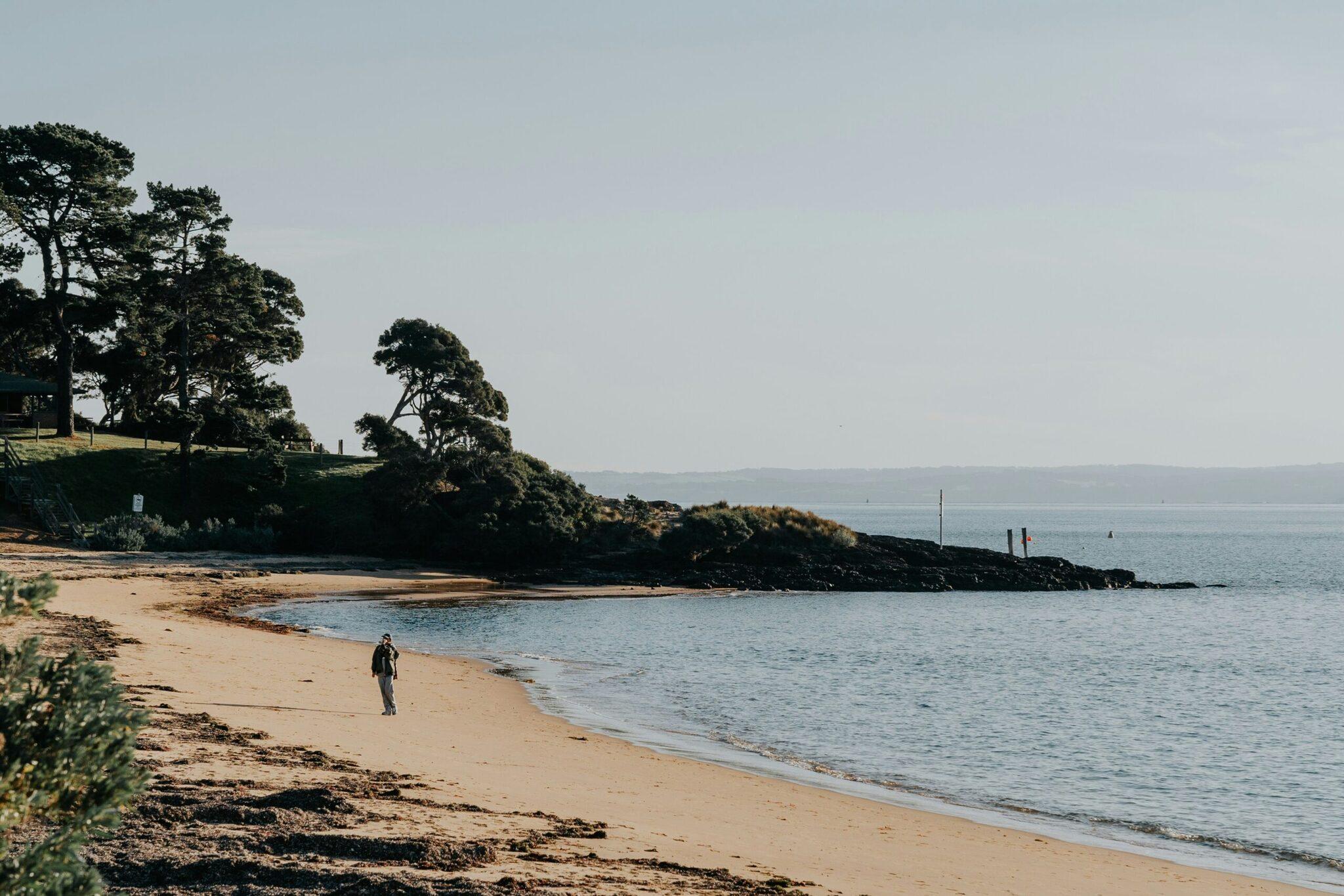 Une personne marche seule sur une plage de sable fin face à la mer, avec des falaises boisées et une jetée en arrière-plan